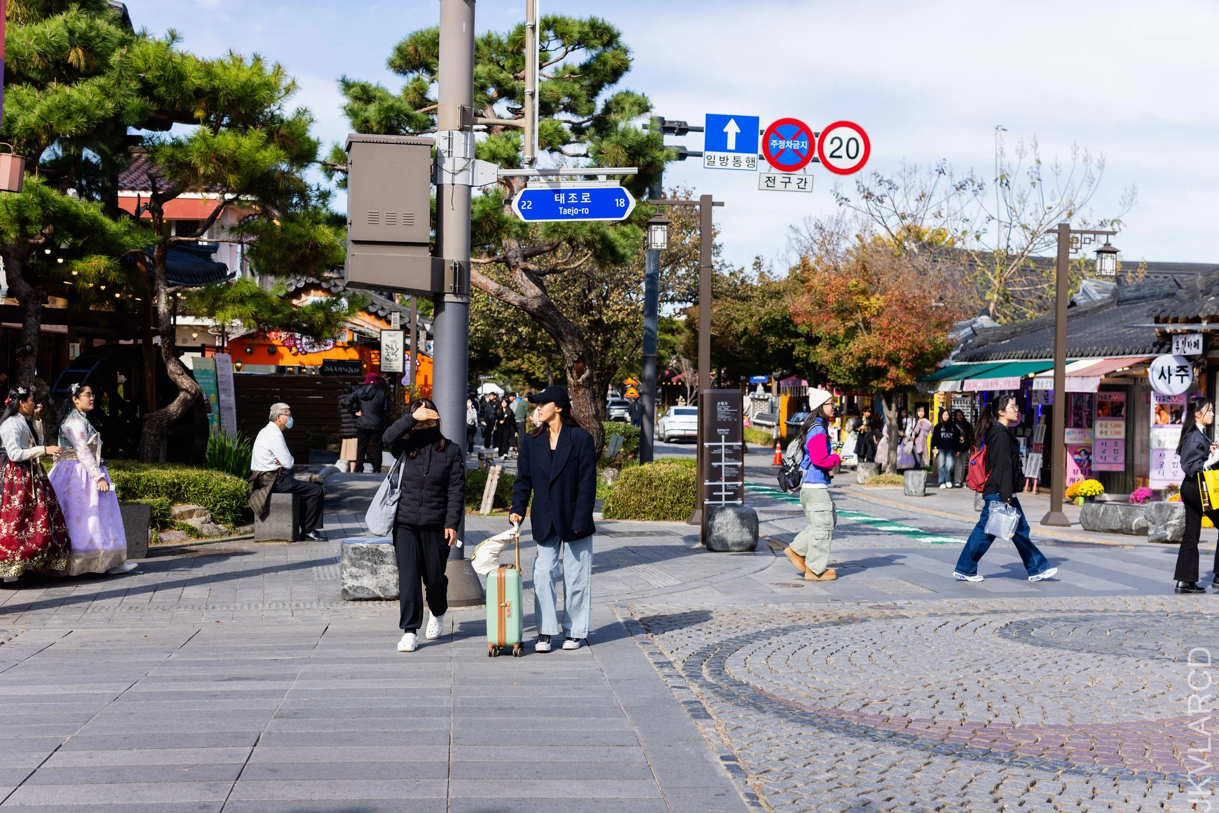 EOS R5_2023_11_08_9189.jpg