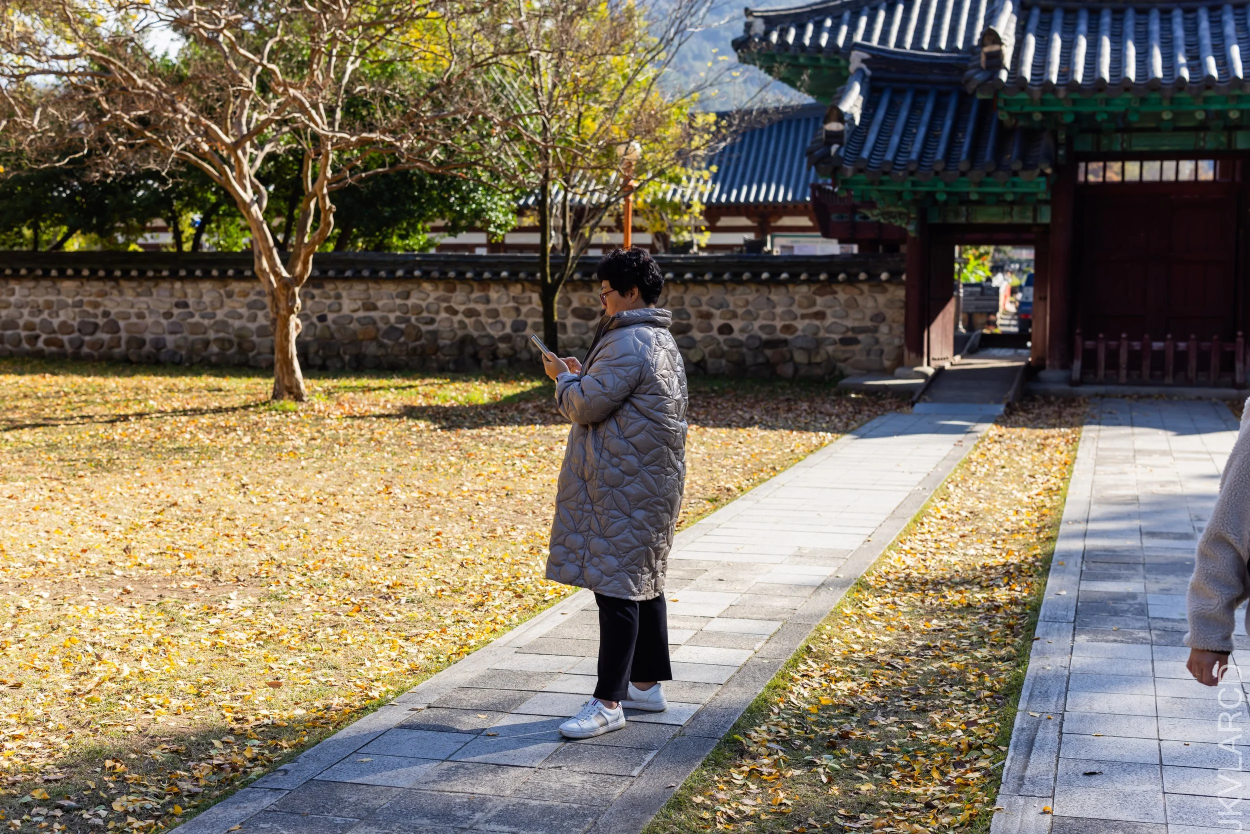 EOS R5_2023_11_08_9213.jpg