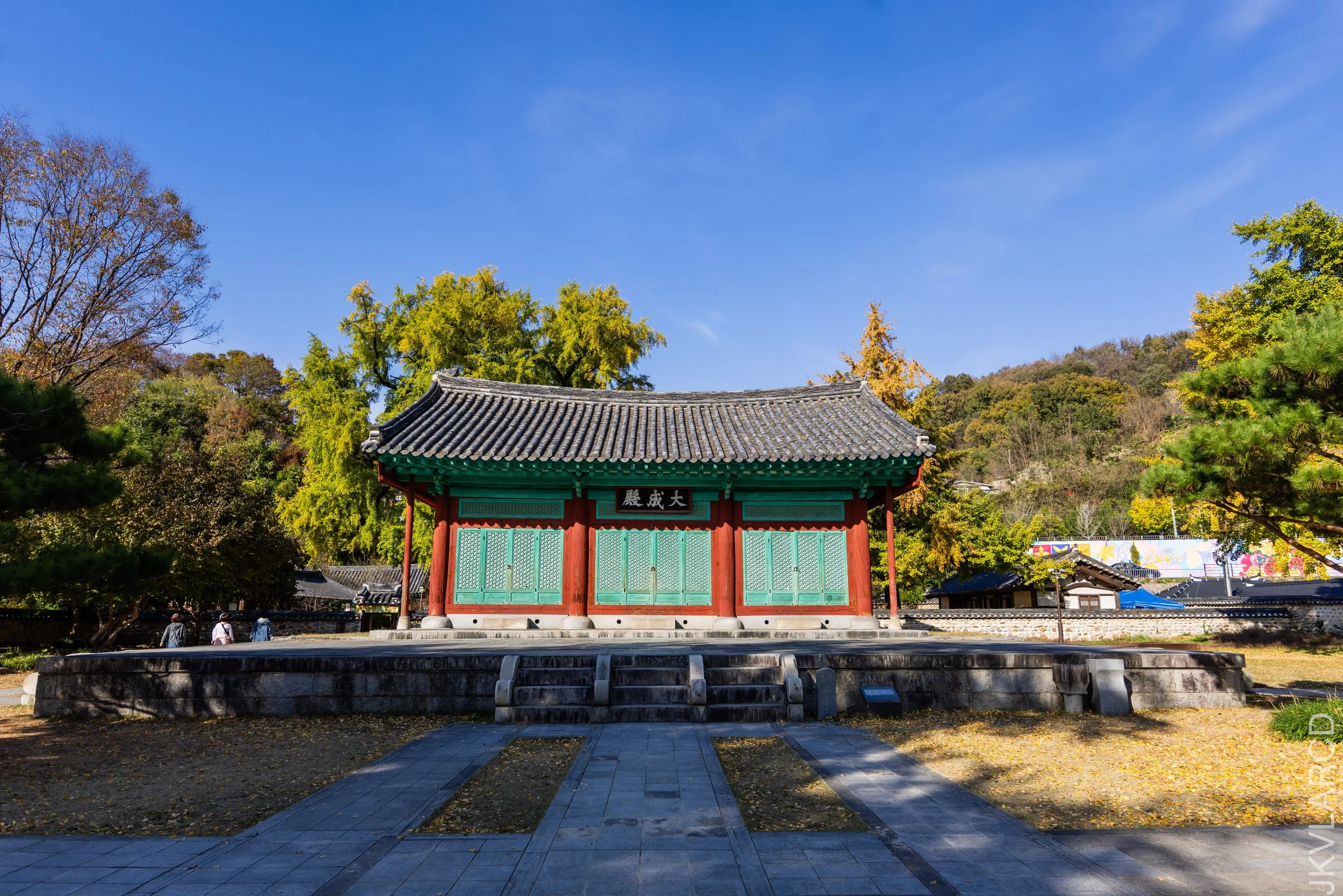 EOS R5_2023_11_08_9195.jpg