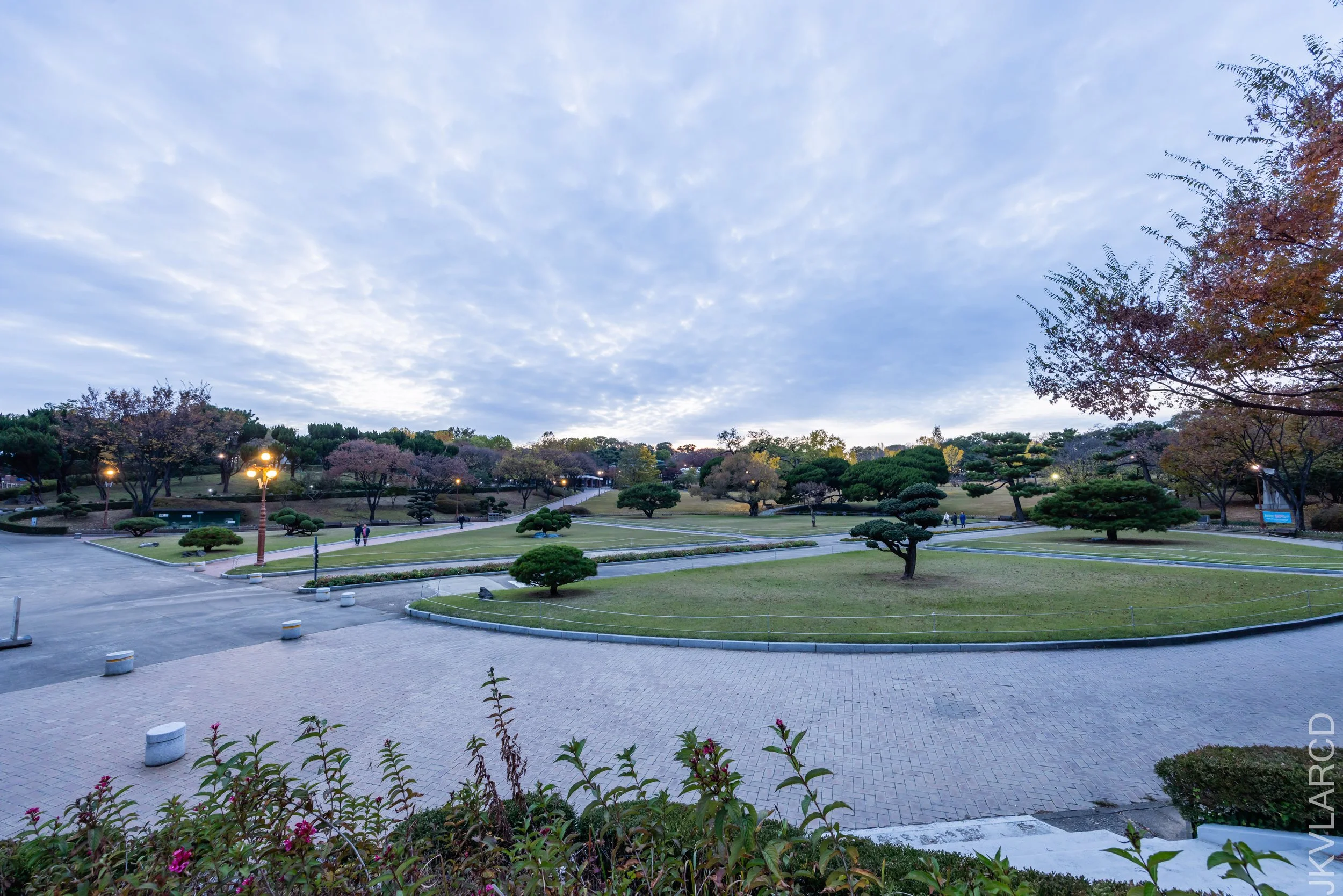 EOS R5_2023_11_11_9517.jpg