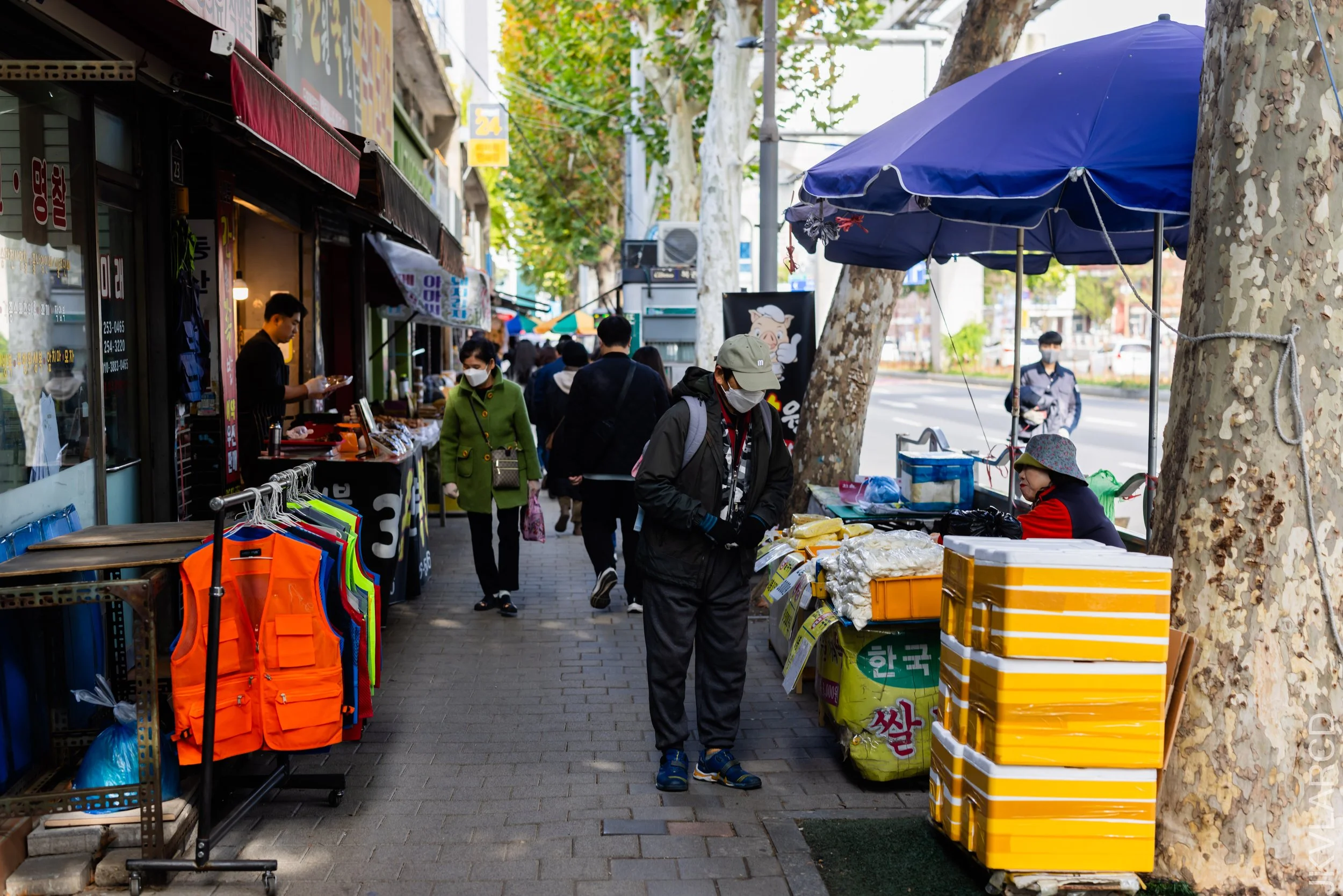 EOS R5_2023_11_11_9403.jpg