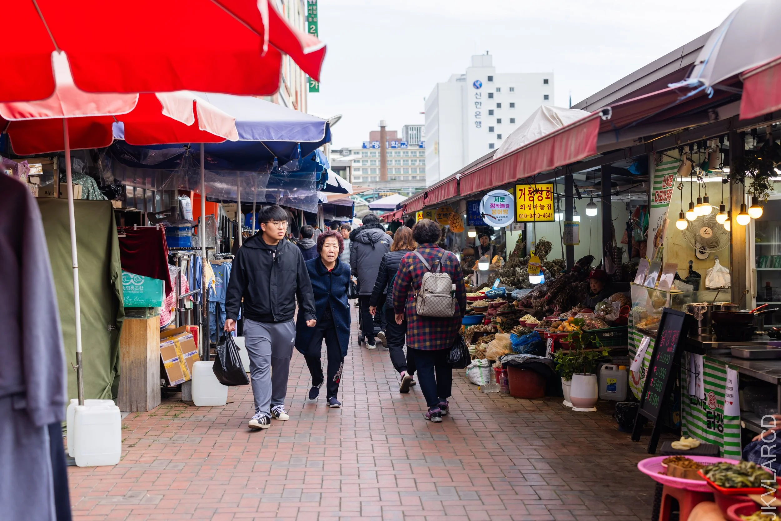 EOS R5_2023_11_11_9424.jpg