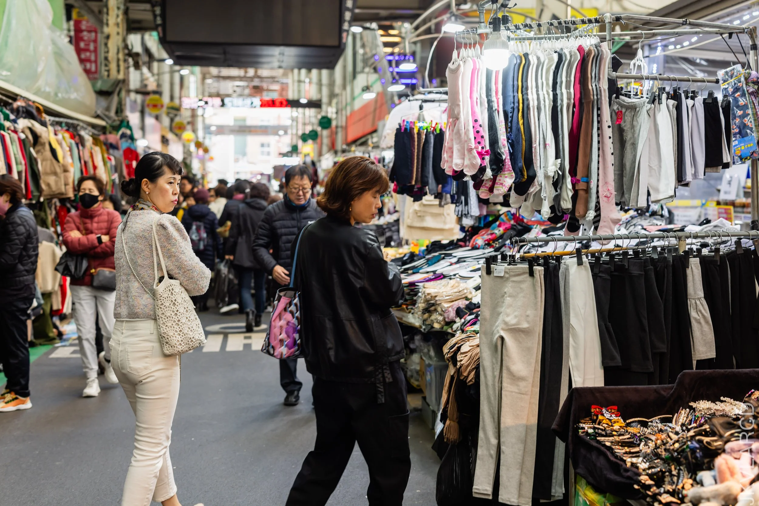 EOS R5_2023_11_11_9444.jpg