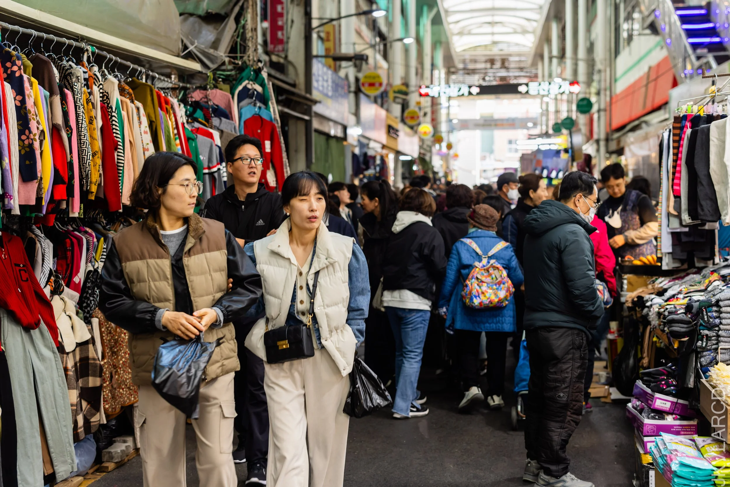 EOS R5_2023_11_11_9446.jpg