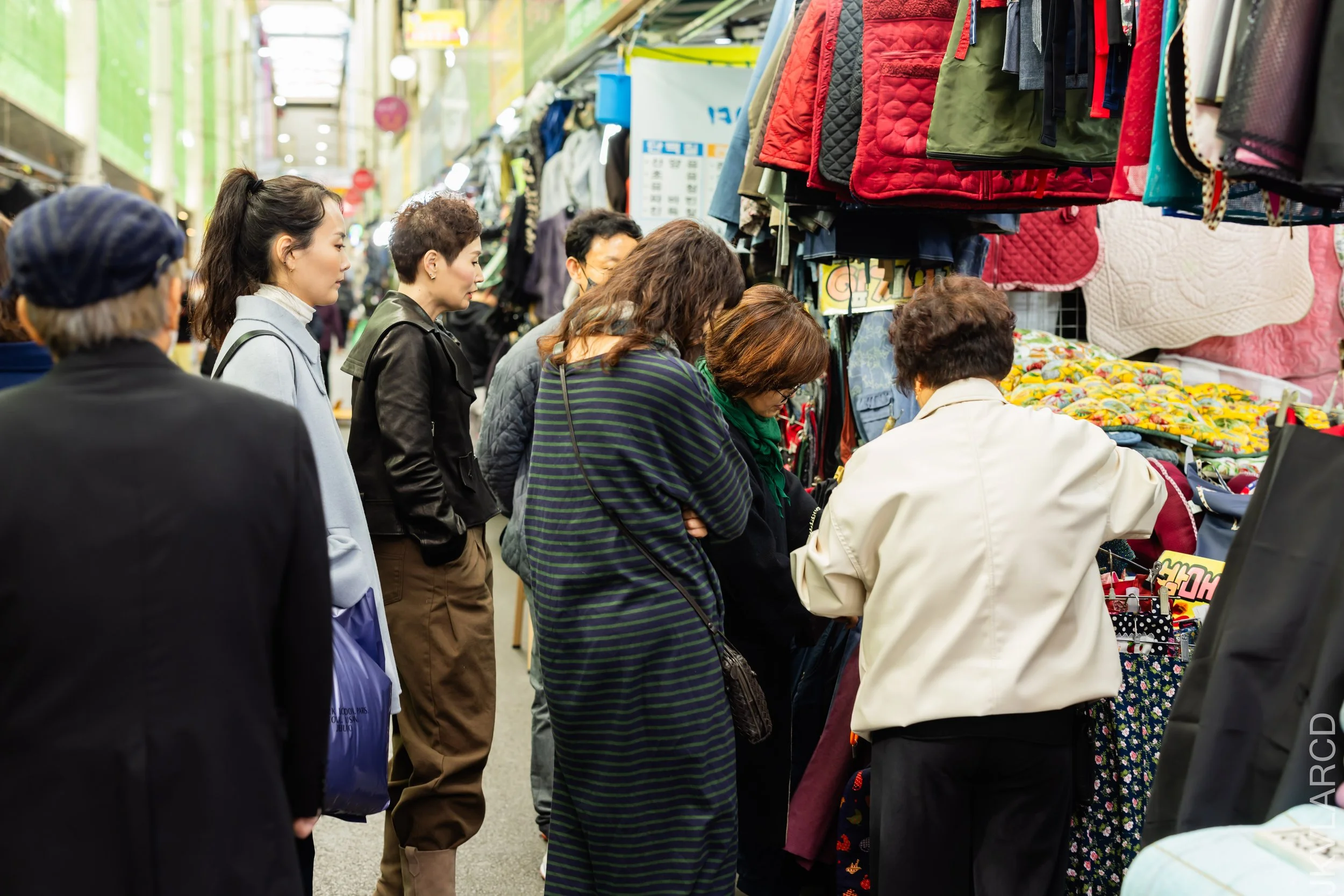 EOS R5_2023_11_11_9455.jpg