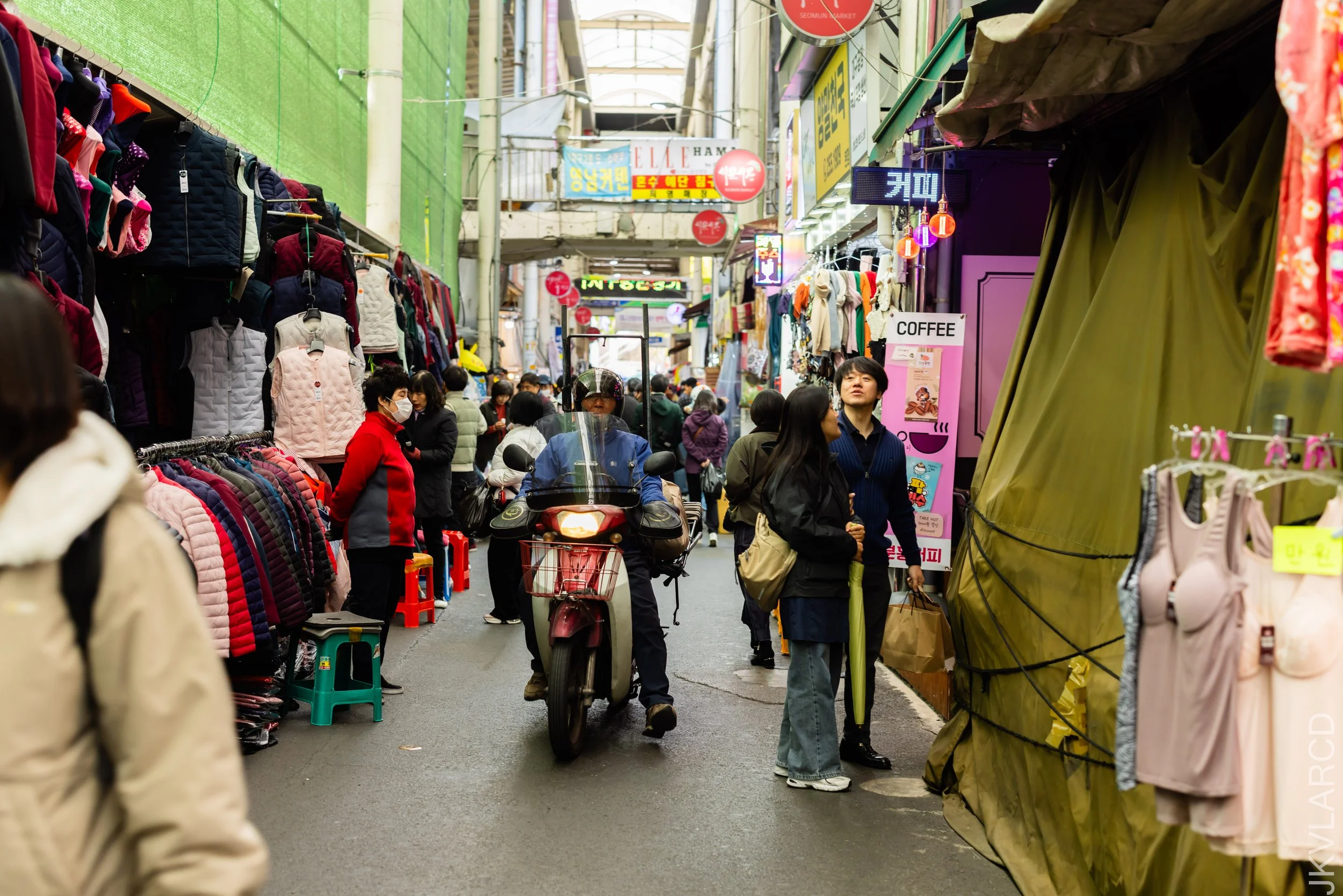 EOS R5_2023_11_11_9457.jpg