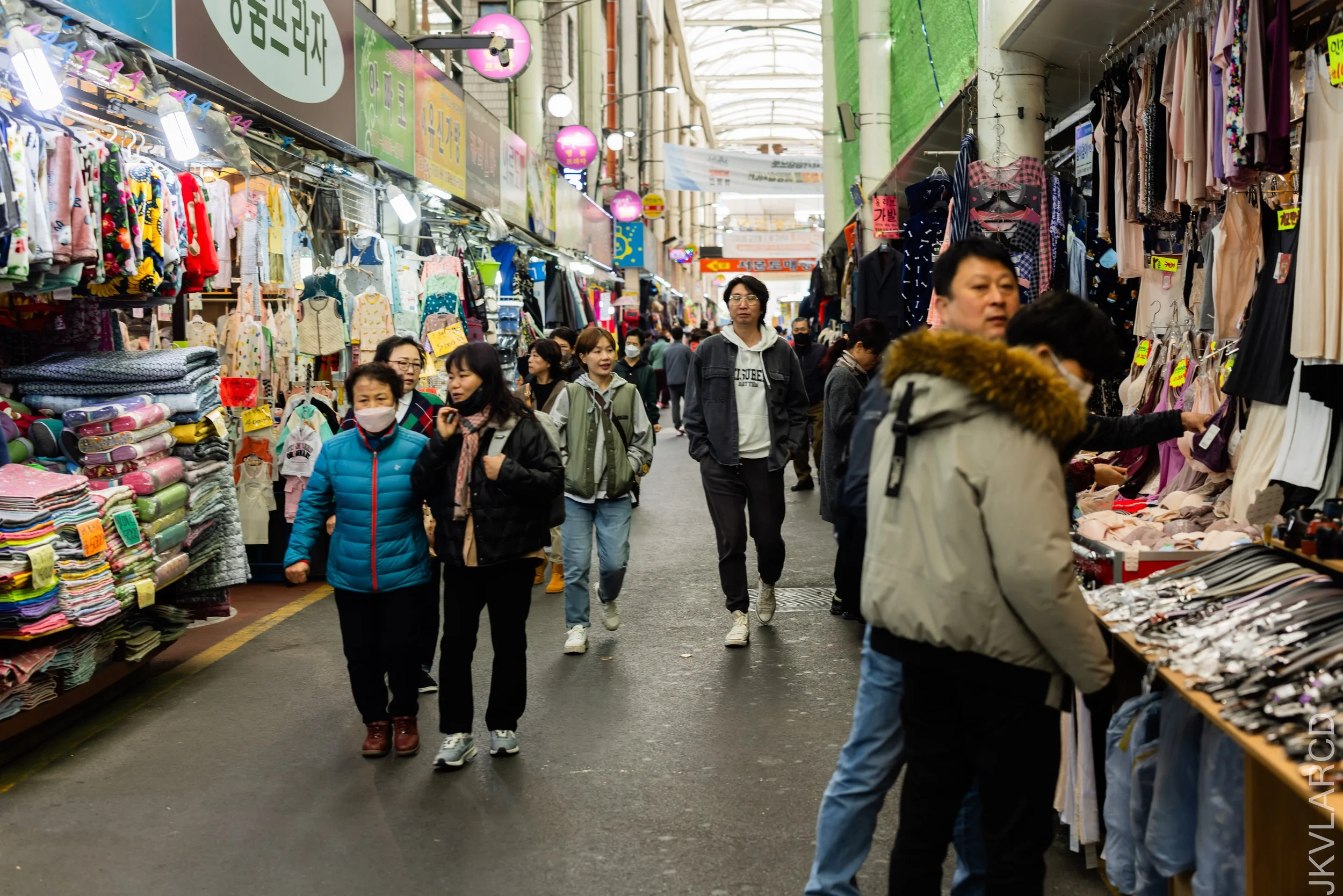 EOS R5_2023_11_11_9481.jpg