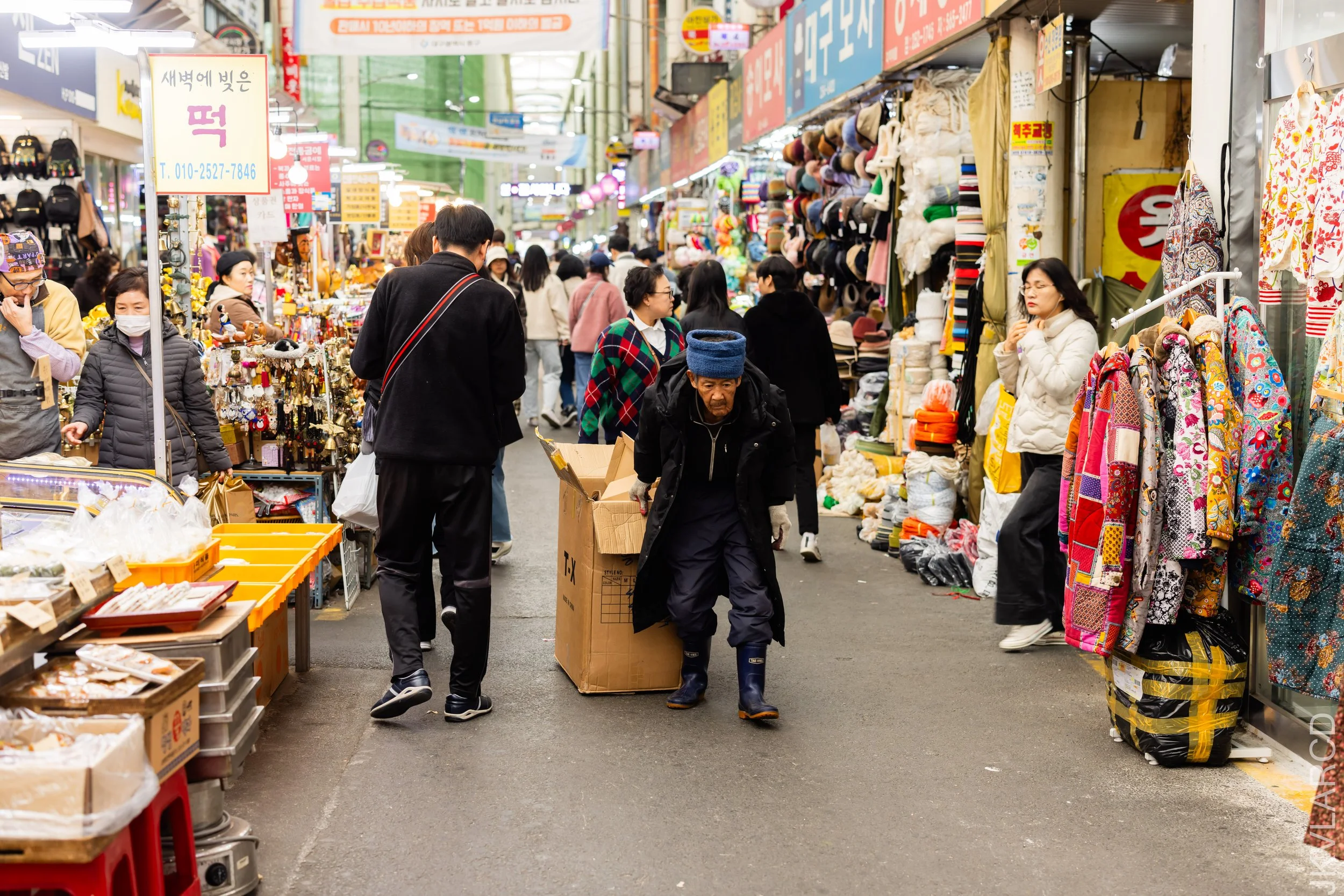 EOS R5_2023_11_11_9484.jpg