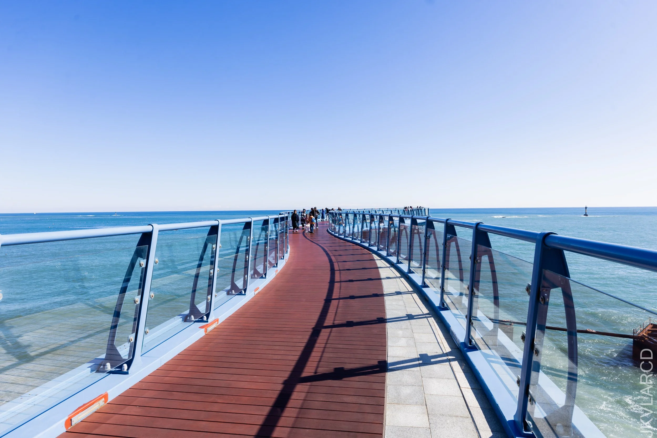 EOS R5_2023_11_13_9556.jpg