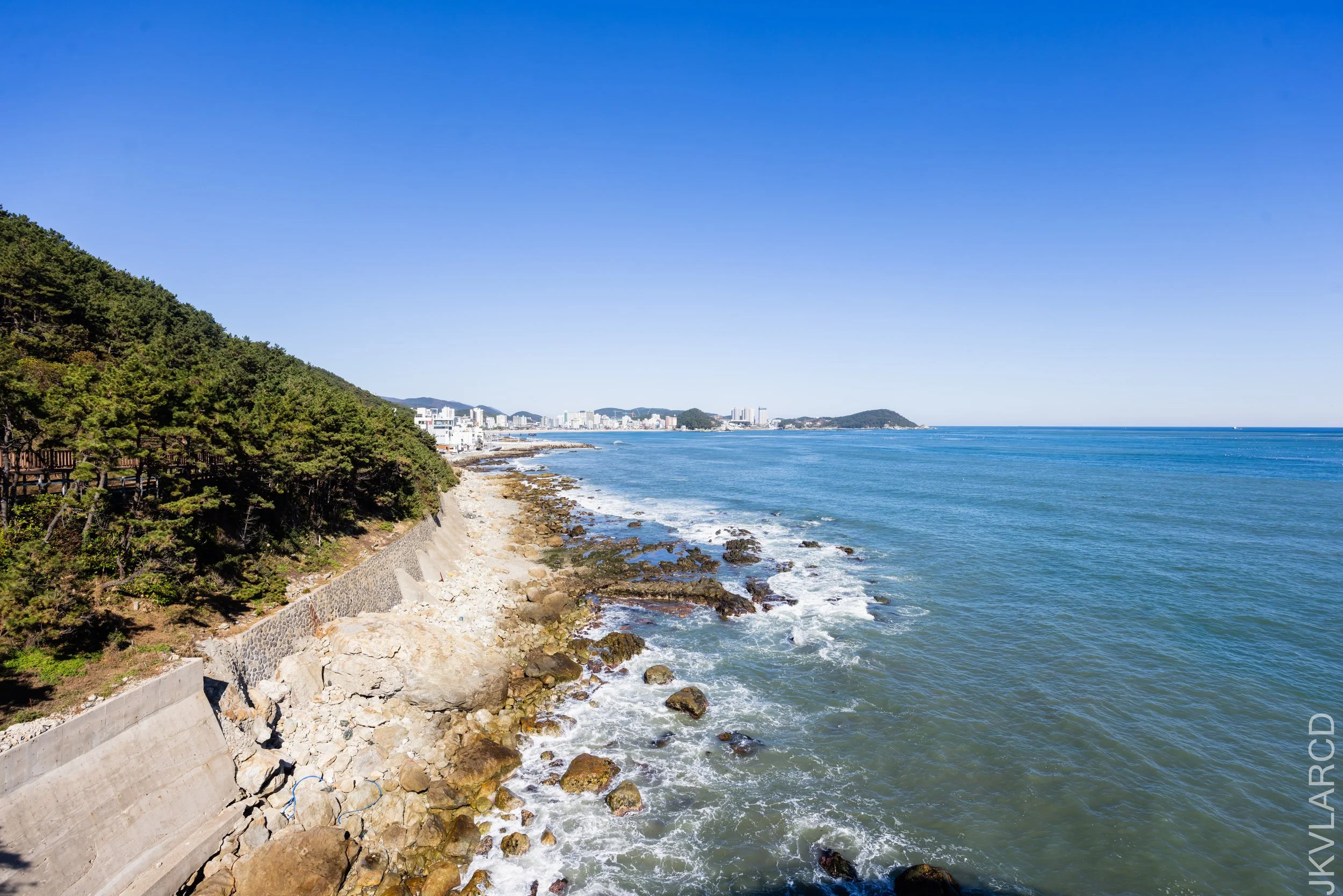 EOS R5_2023_11_13_9557.jpg