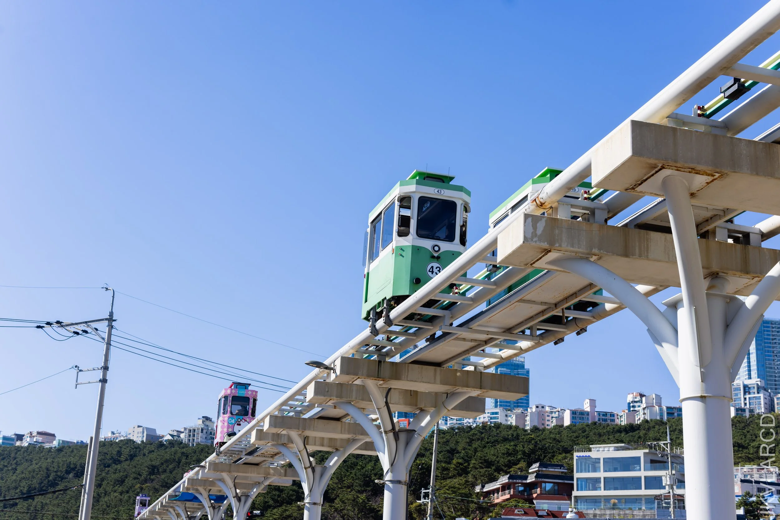 EOS R5_2023_11_13_9569.jpg