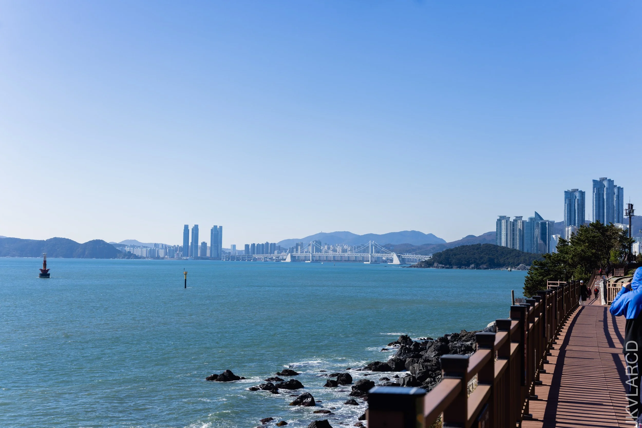 EOS R5_2023_11_13_9570.jpg