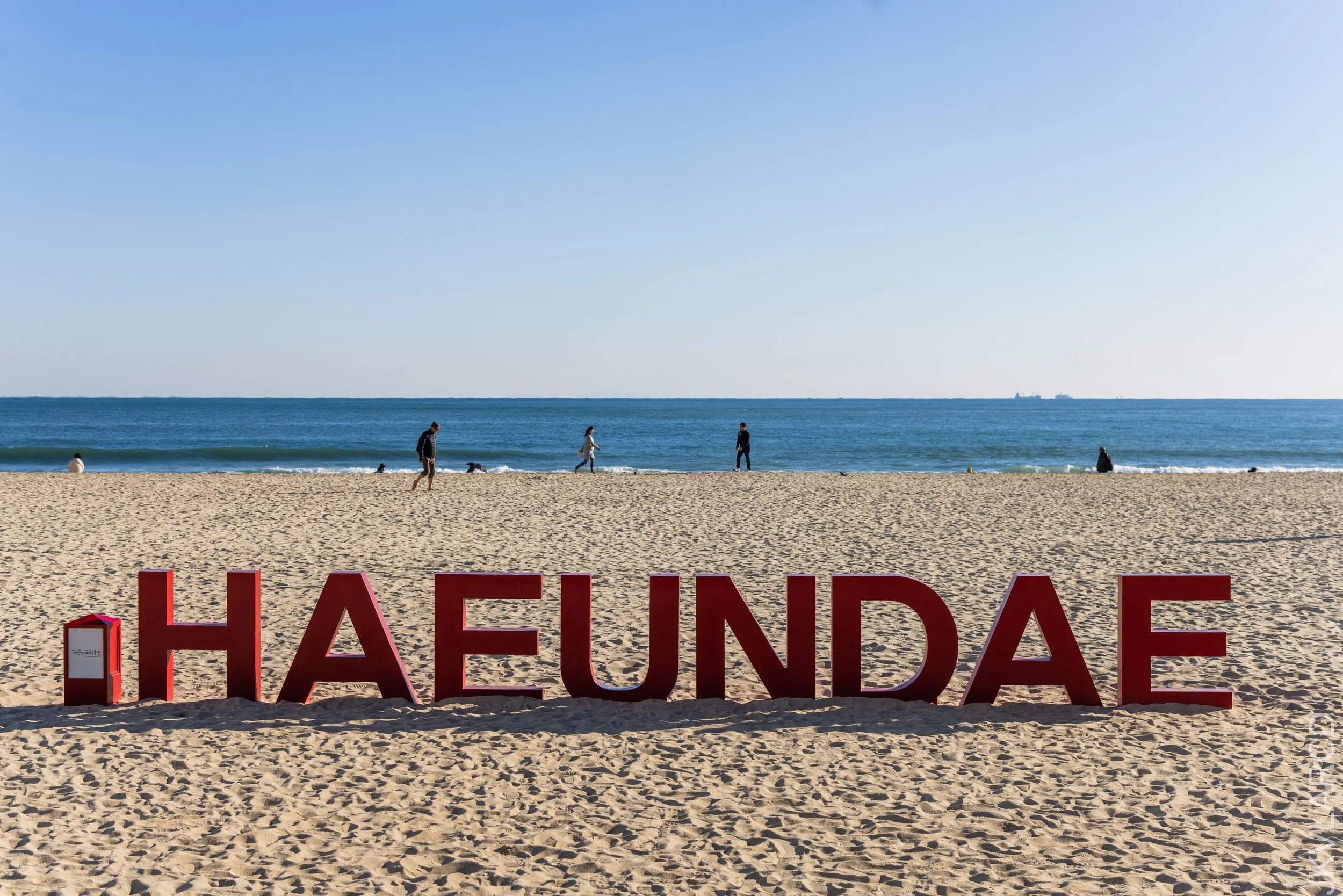 EOS R5_2023_11_13_9648.jpg