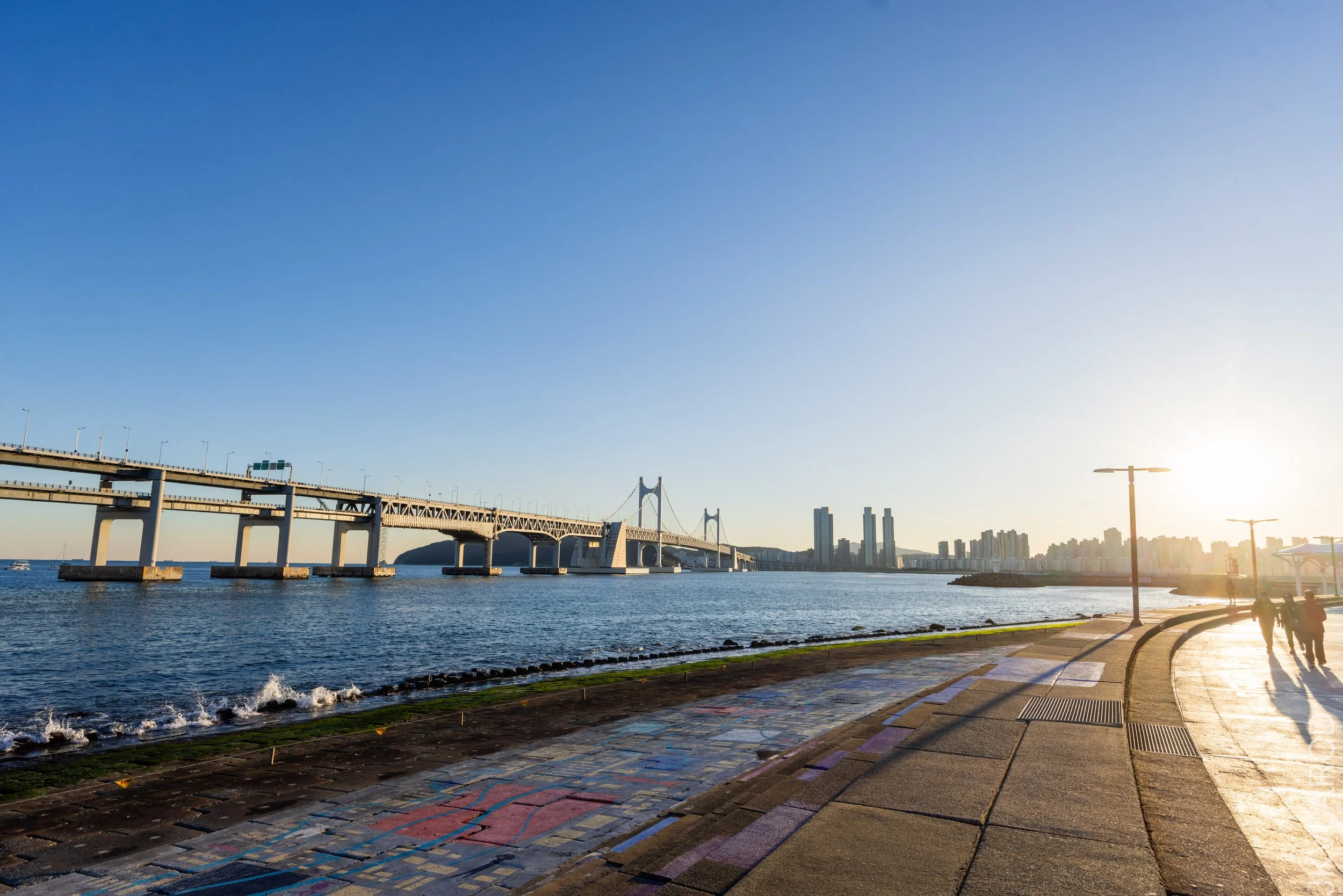 EOS R5_2023_11_13_9667.jpg