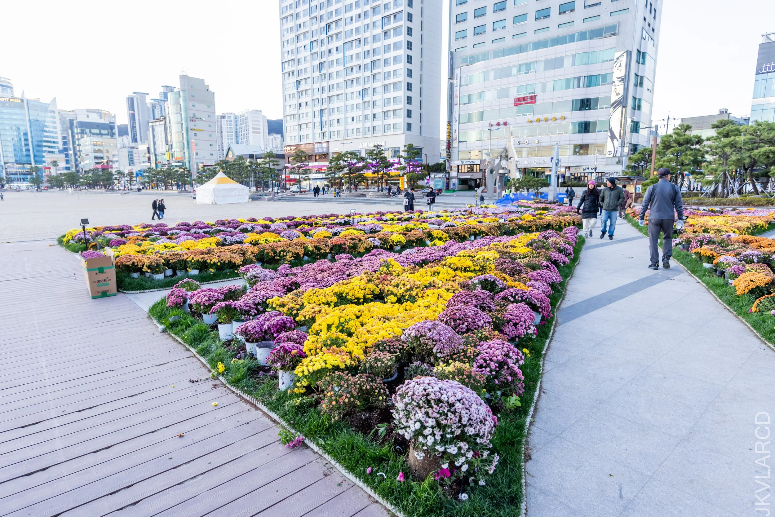 EOS R5_2023_11_13_9692.jpg