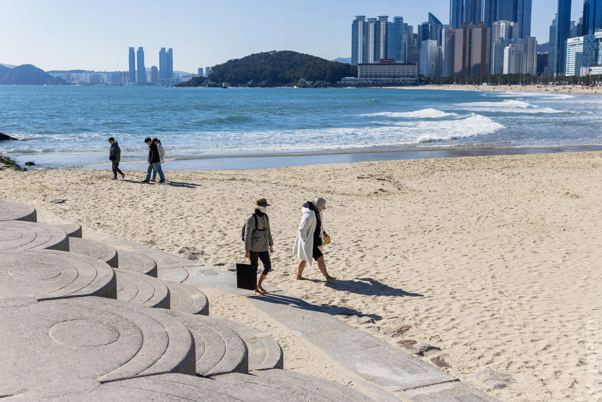 EOS R5_2023_11_13_9588.jpg