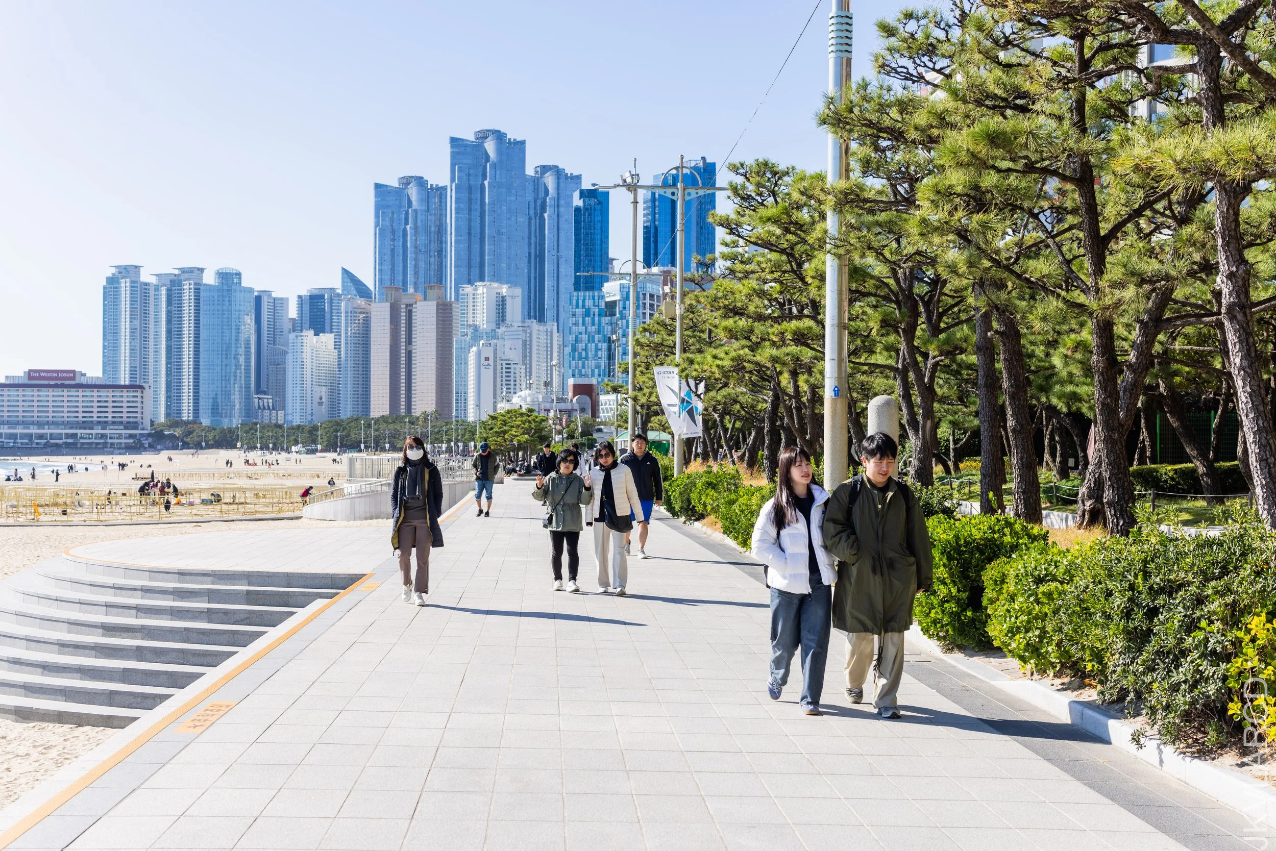 EOS R5_2023_11_13_9615.jpg