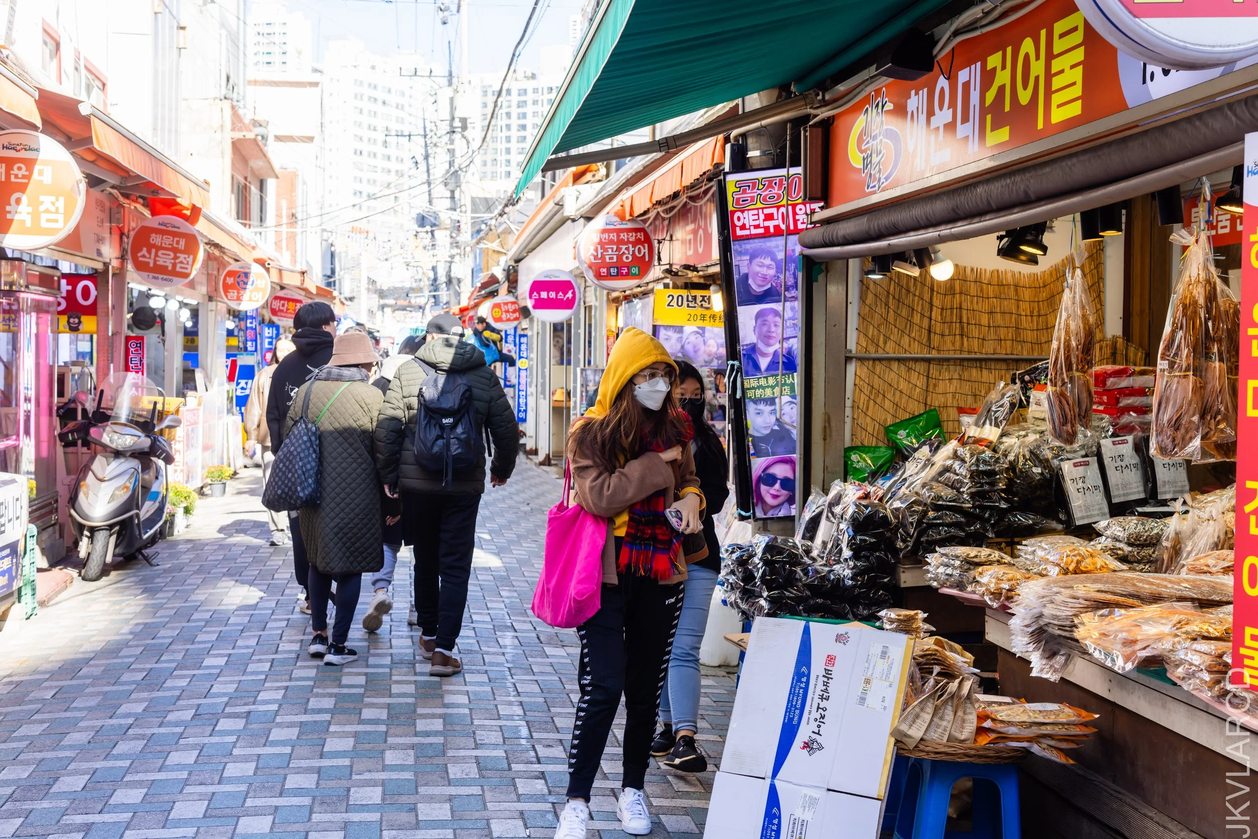 EOS R5_2023_11_13_9629.jpg