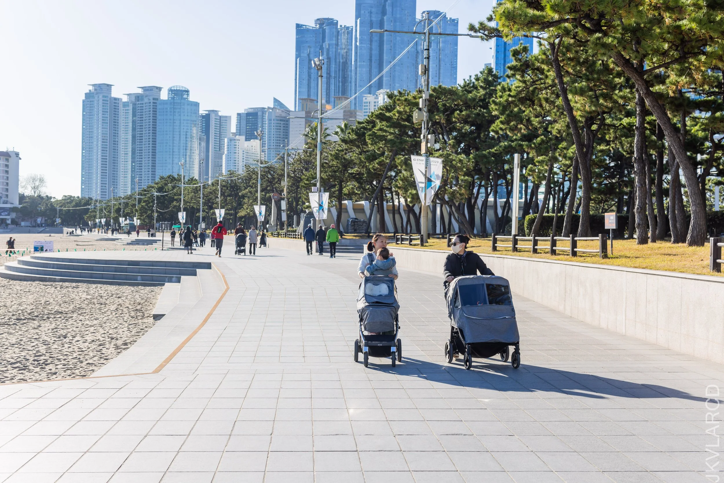 EOS R5_2023_11_13_9652.jpg