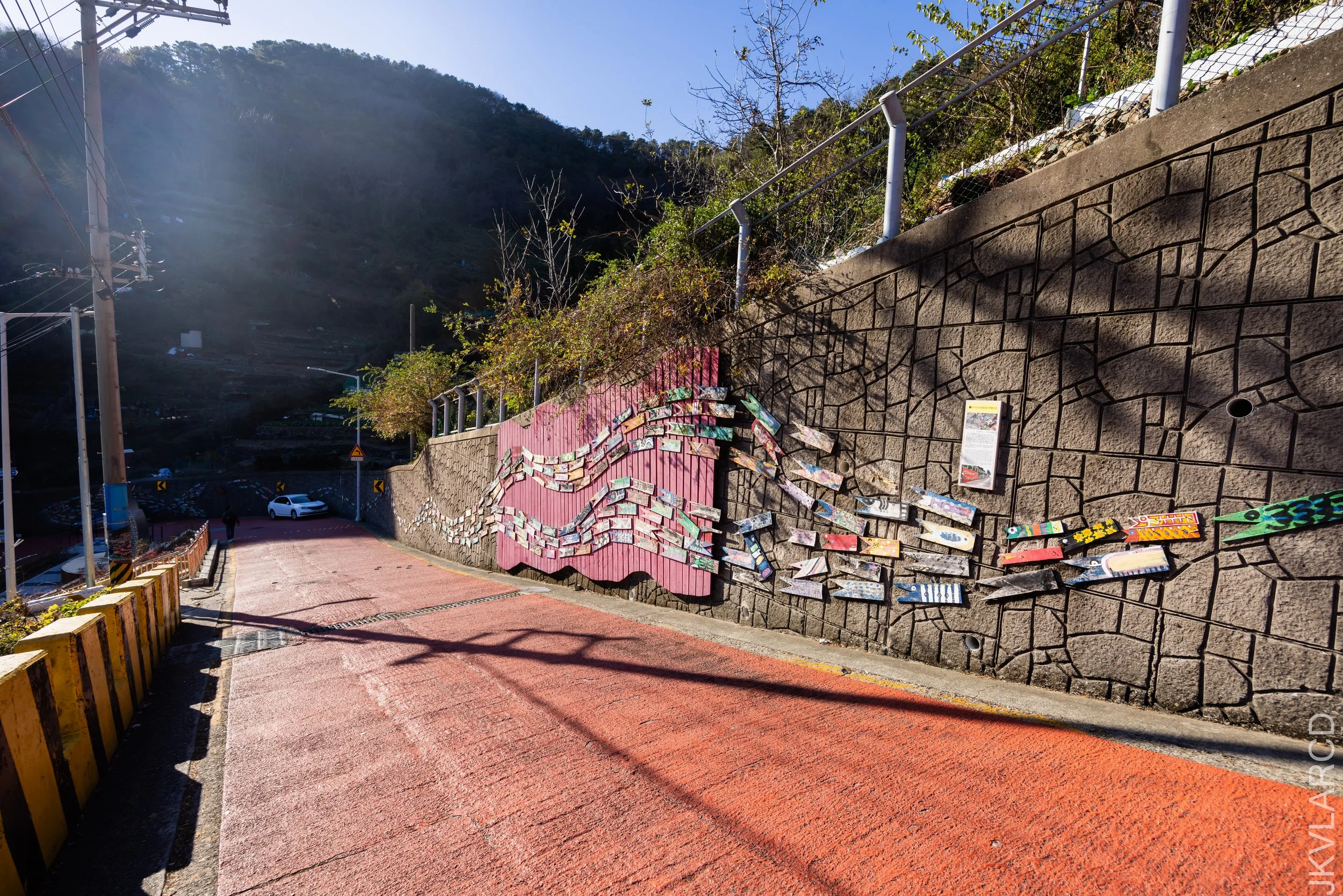 EOS R5_2023_11_14_9911.jpg