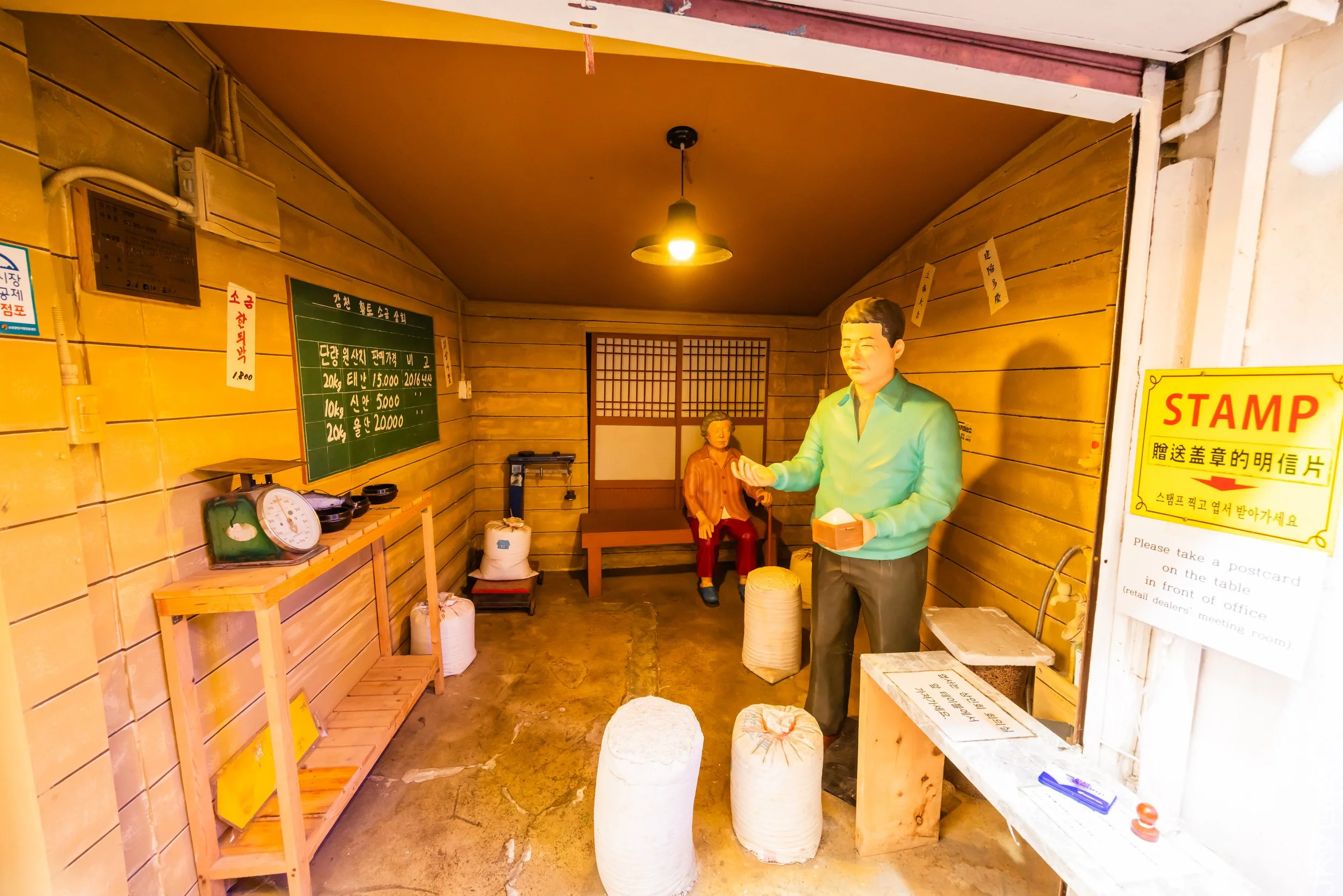 EOS R5_2023_11_14_9919.jpg