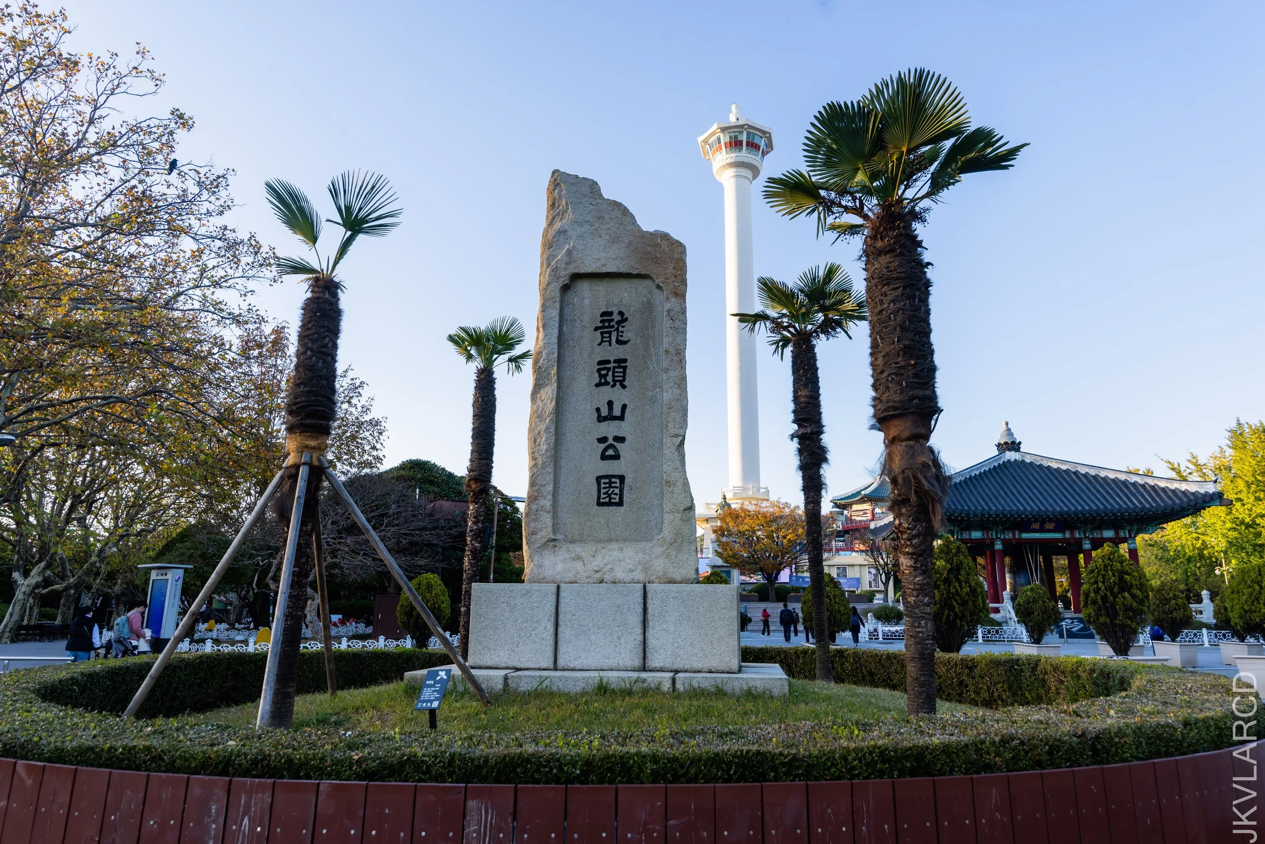 EOS R5_2023_11_14_9999_28.jpg