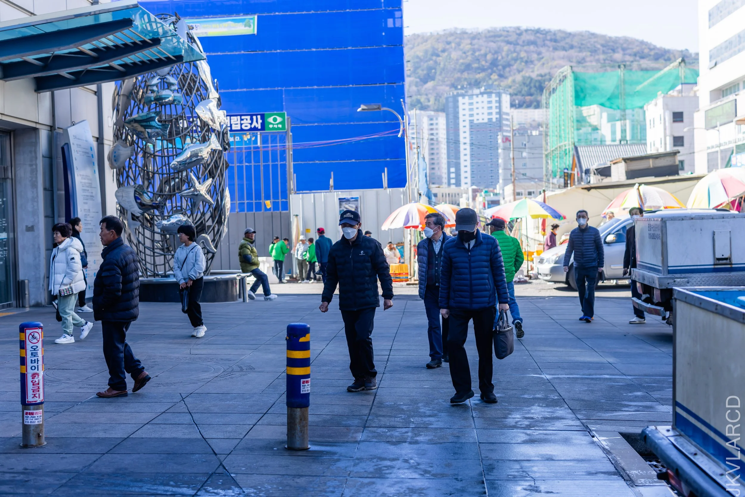 EOS R5_2023_11_14_9739.jpg