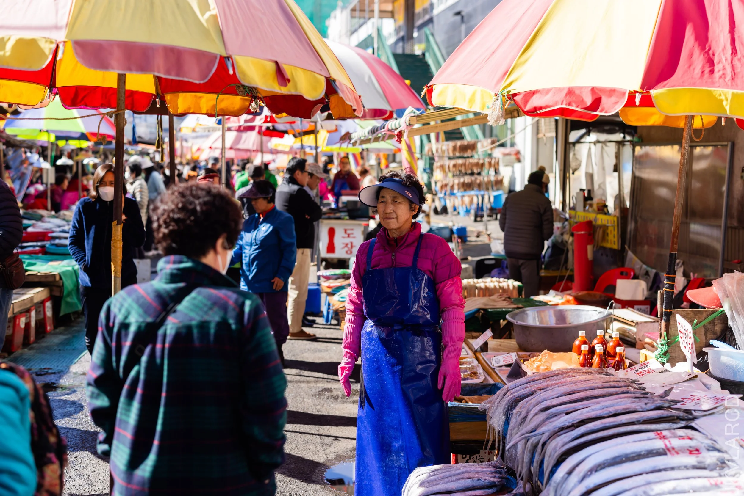 EOS R5_2023_11_14_9744.jpg