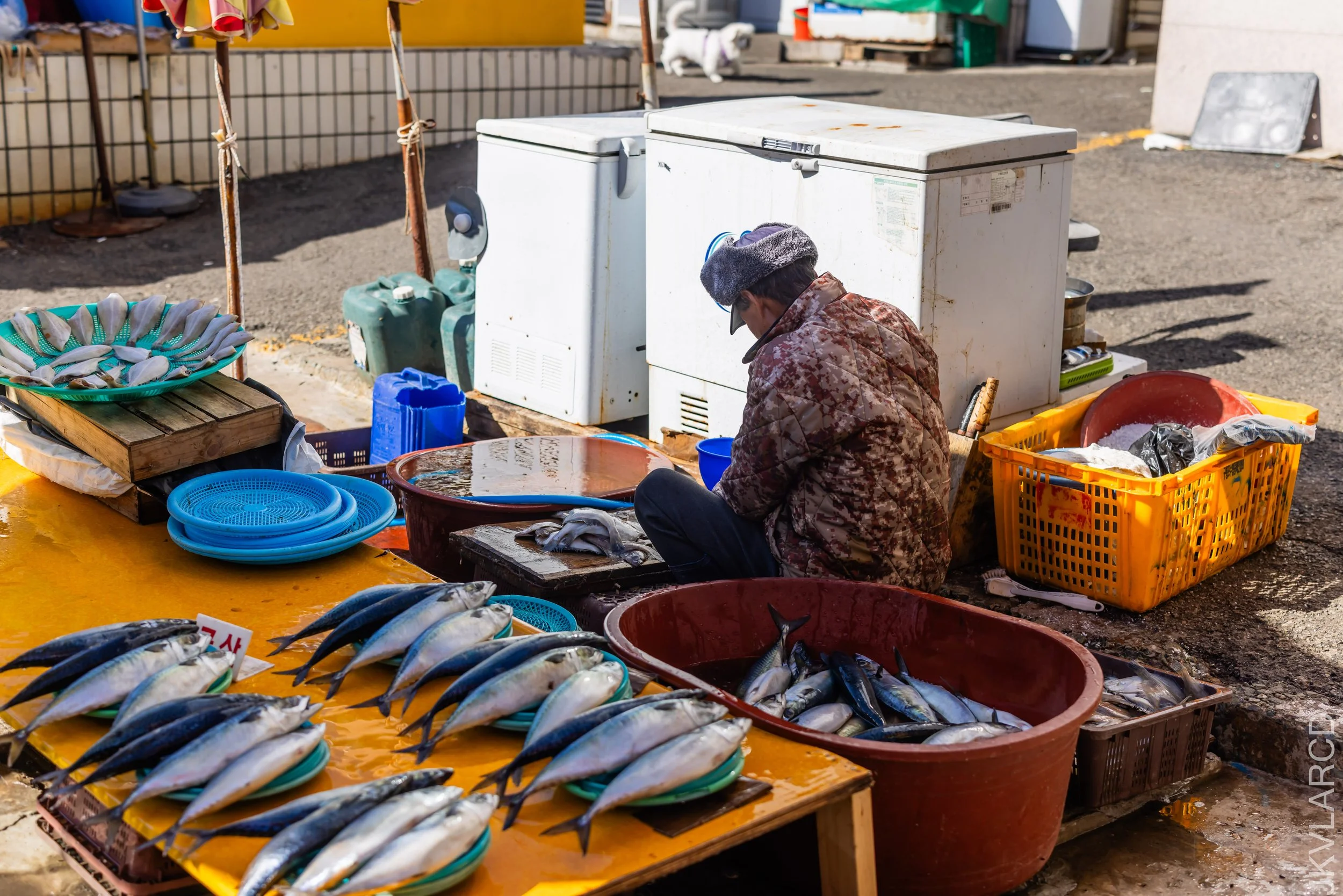 EOS R5_2023_11_14_9753.jpg