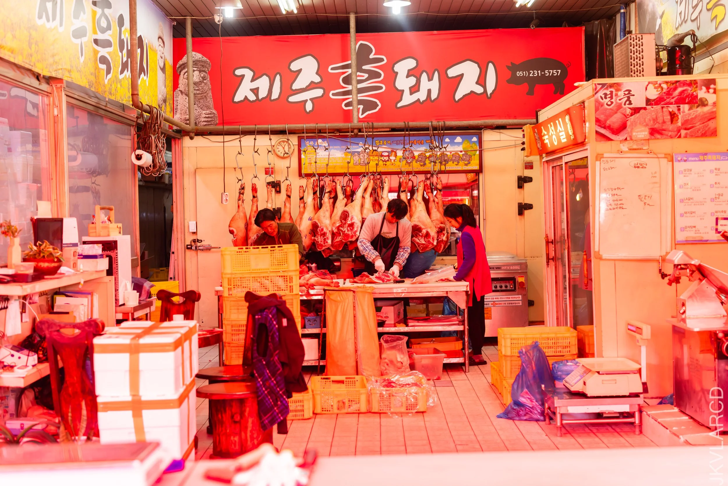 EOS R5_2023_11_14_9806.jpg