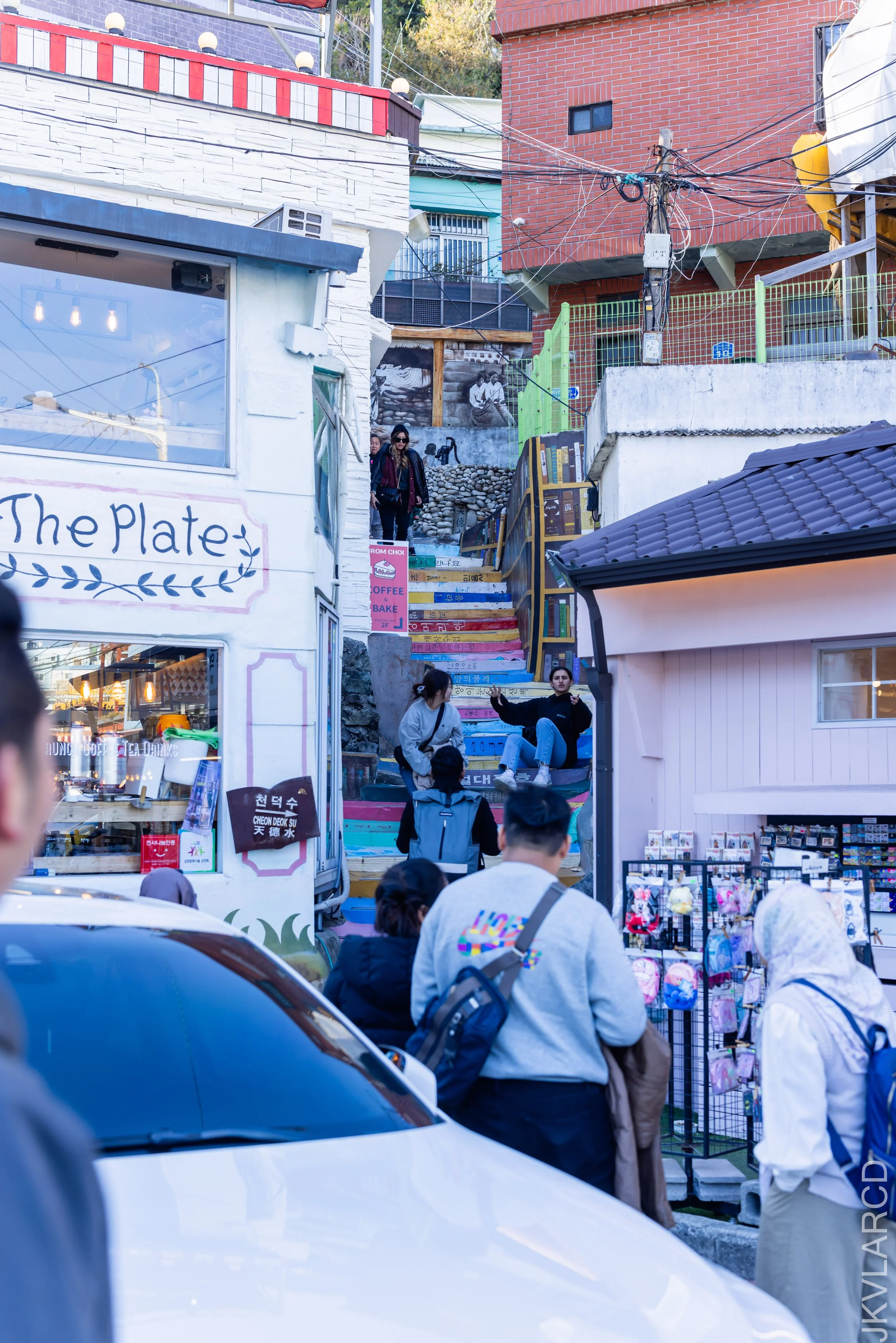 EOS R5_2023_11_14_9905.jpg