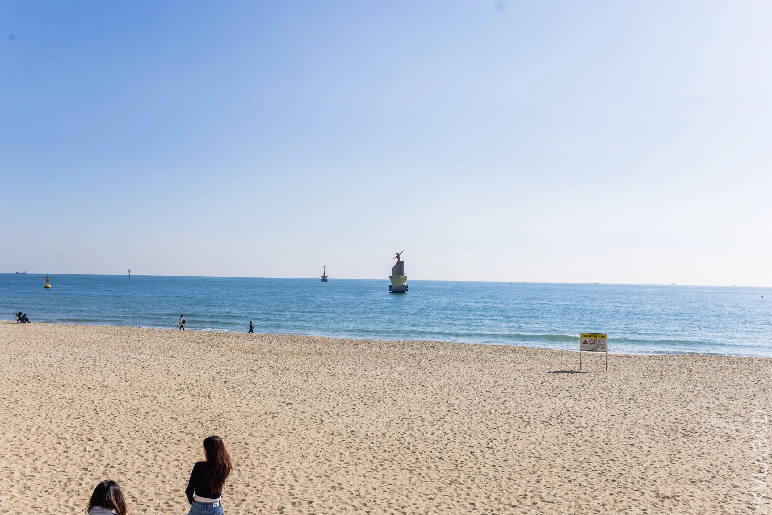 EOS R5_2023_11_15_9999_27.jpg