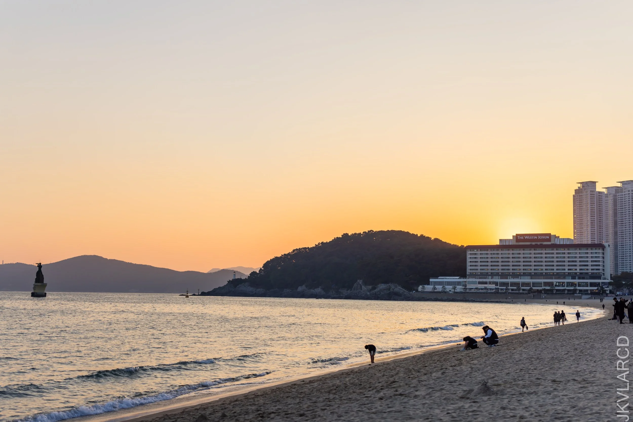 EOS R5_2023_11_15_9999_96.jpg