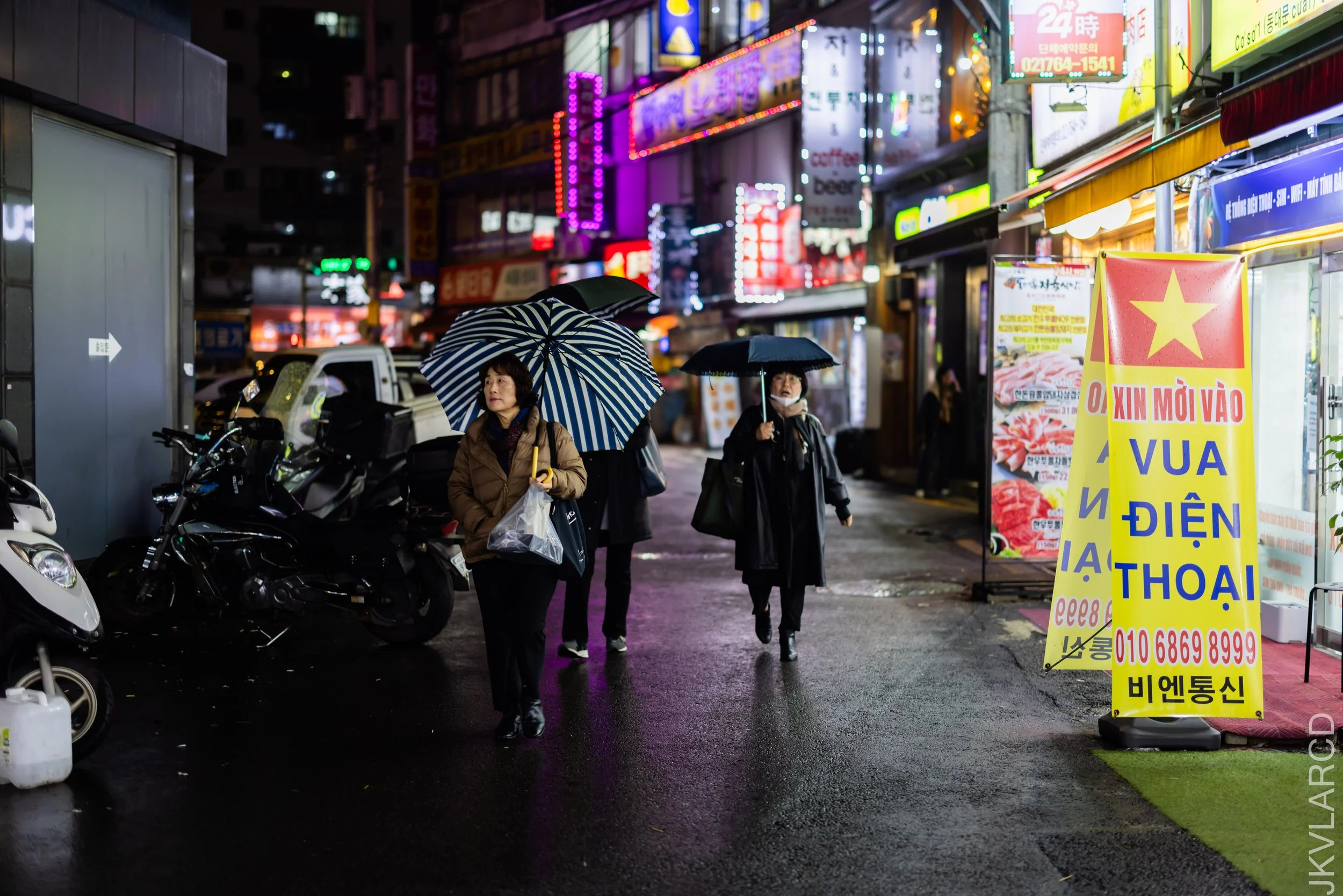 EOS R5_2023_11_16_9999_37.jpg