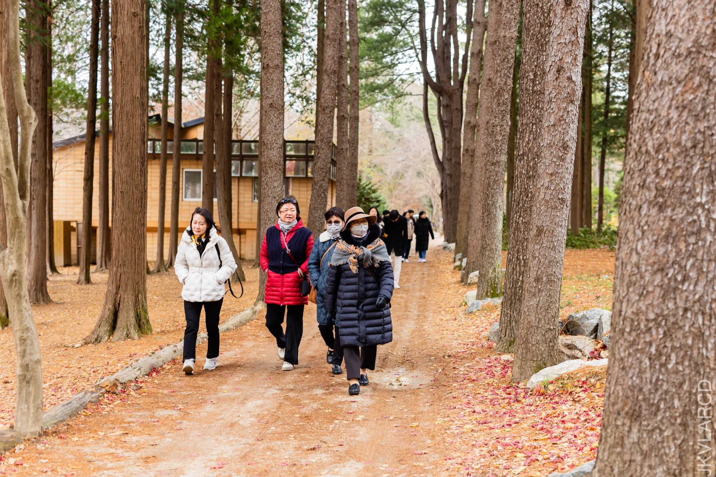 EOS R5_2023_11_17_0109.jpg