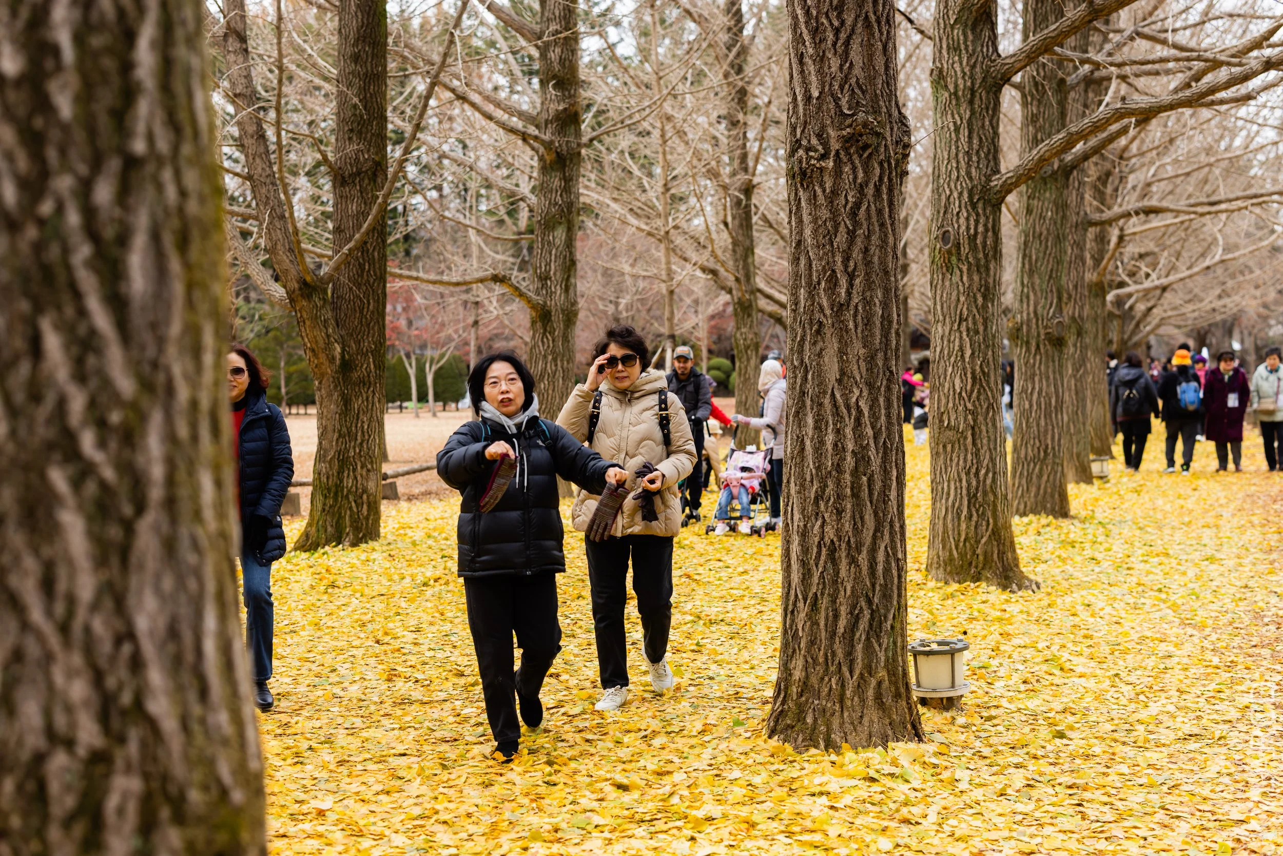 EOS R5_2023_11_17_0123.jpg