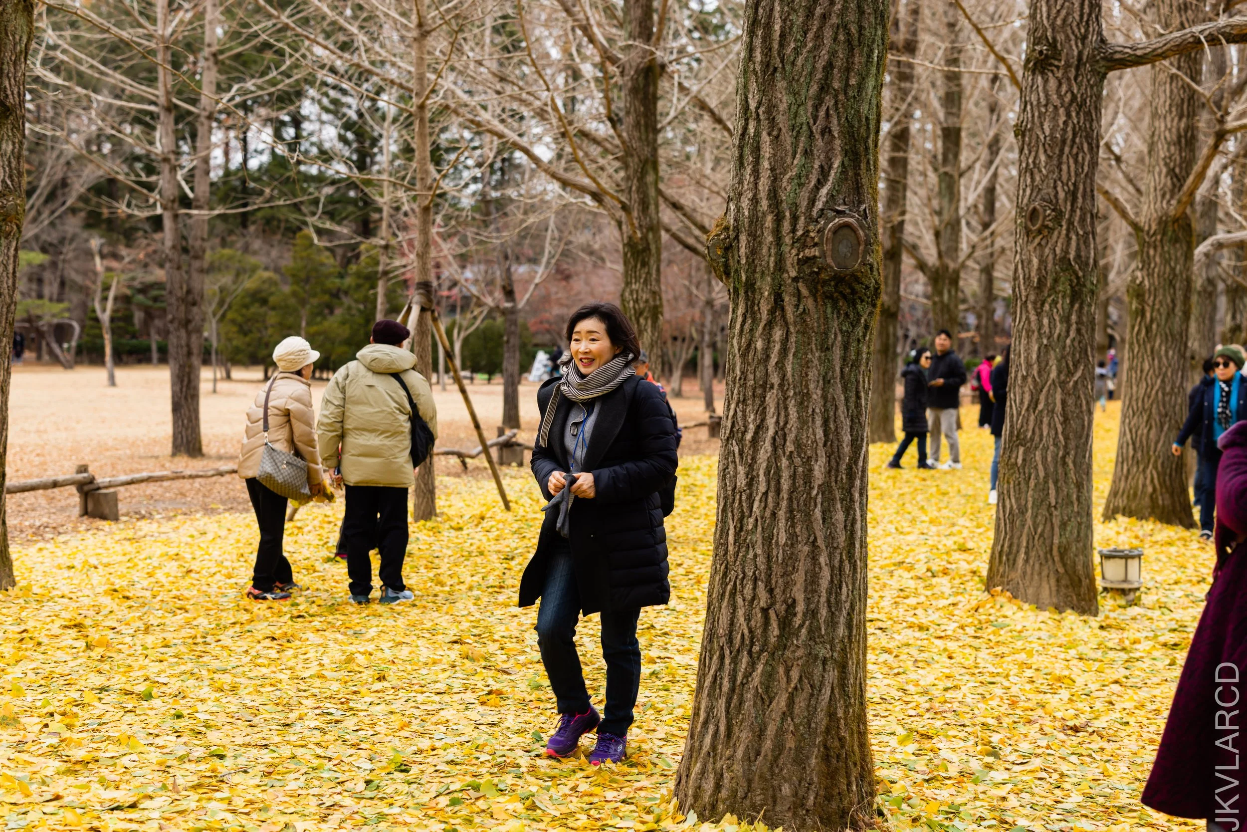 EOS R5_2023_11_17_0125.jpg