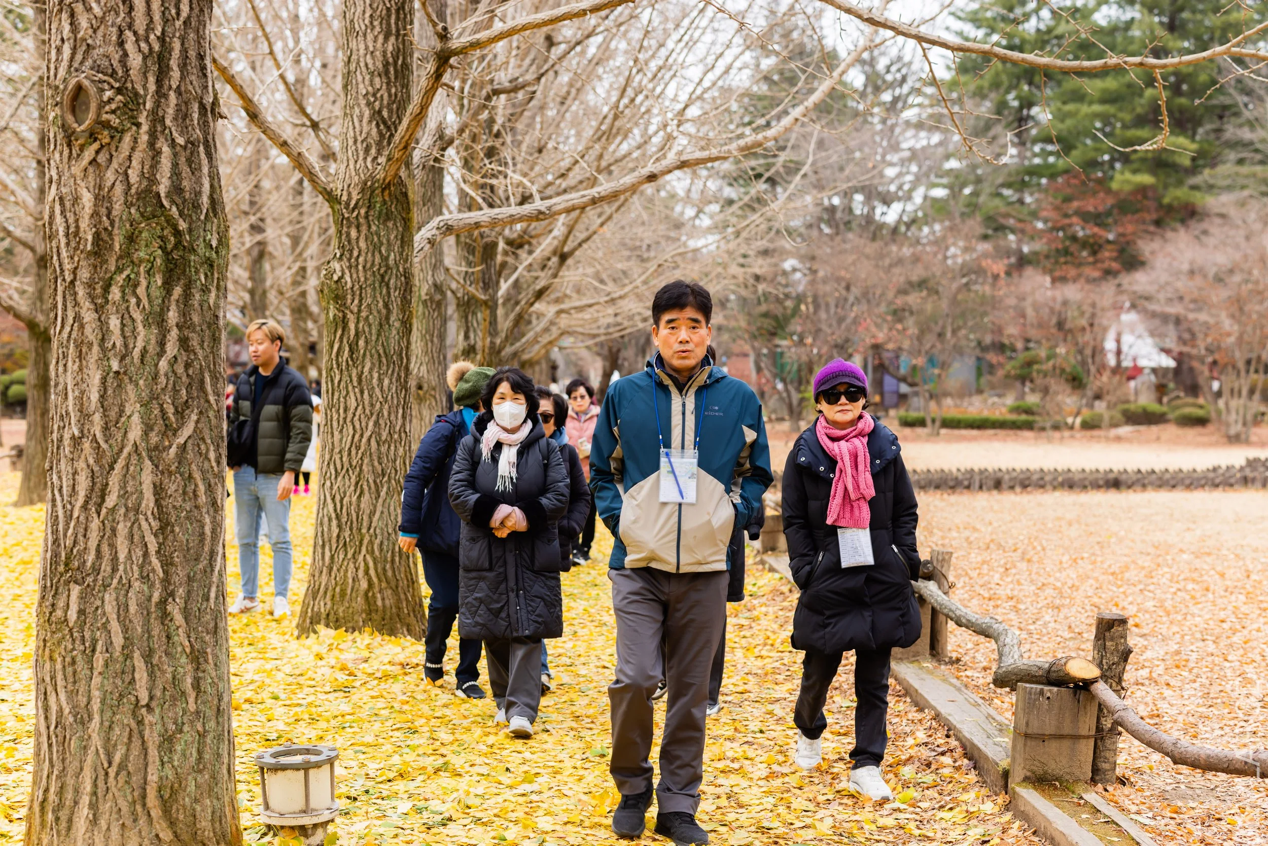 EOS R5_2023_11_17_0126.jpg