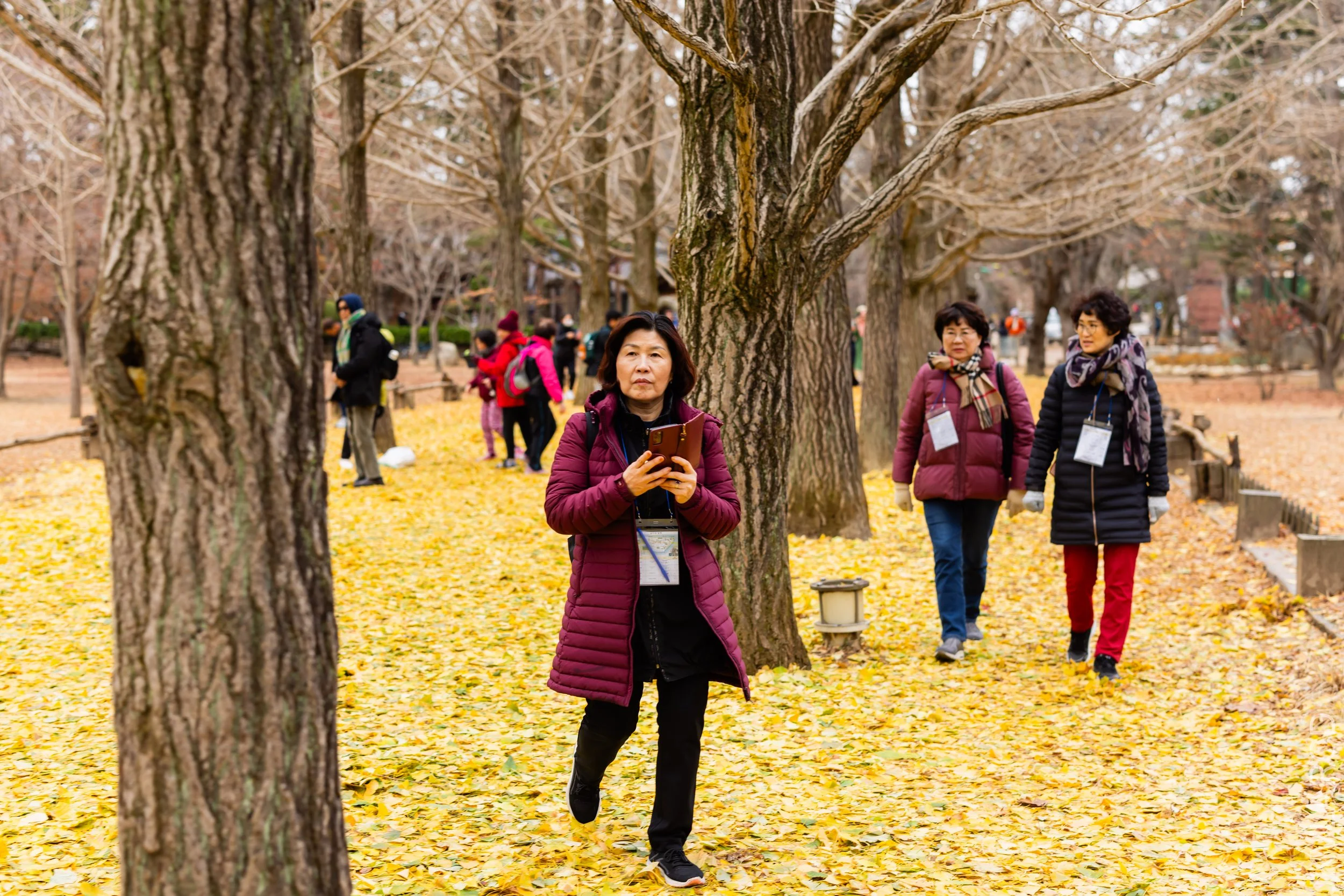 EOS R5_2023_11_17_0129.jpg