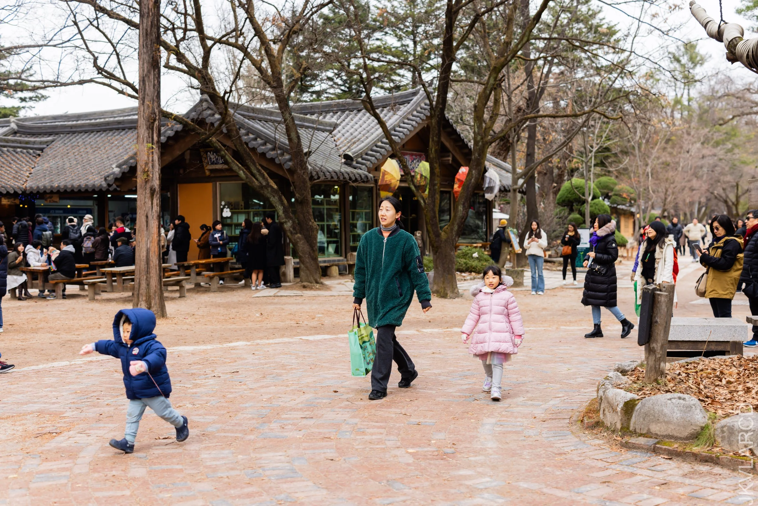 EOS R5_2023_11_17_0135.jpg