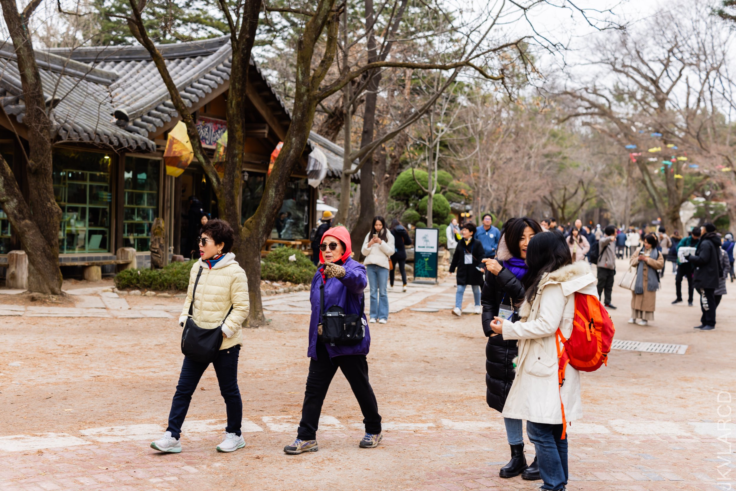 EOS R5_2023_11_17_0136.jpg