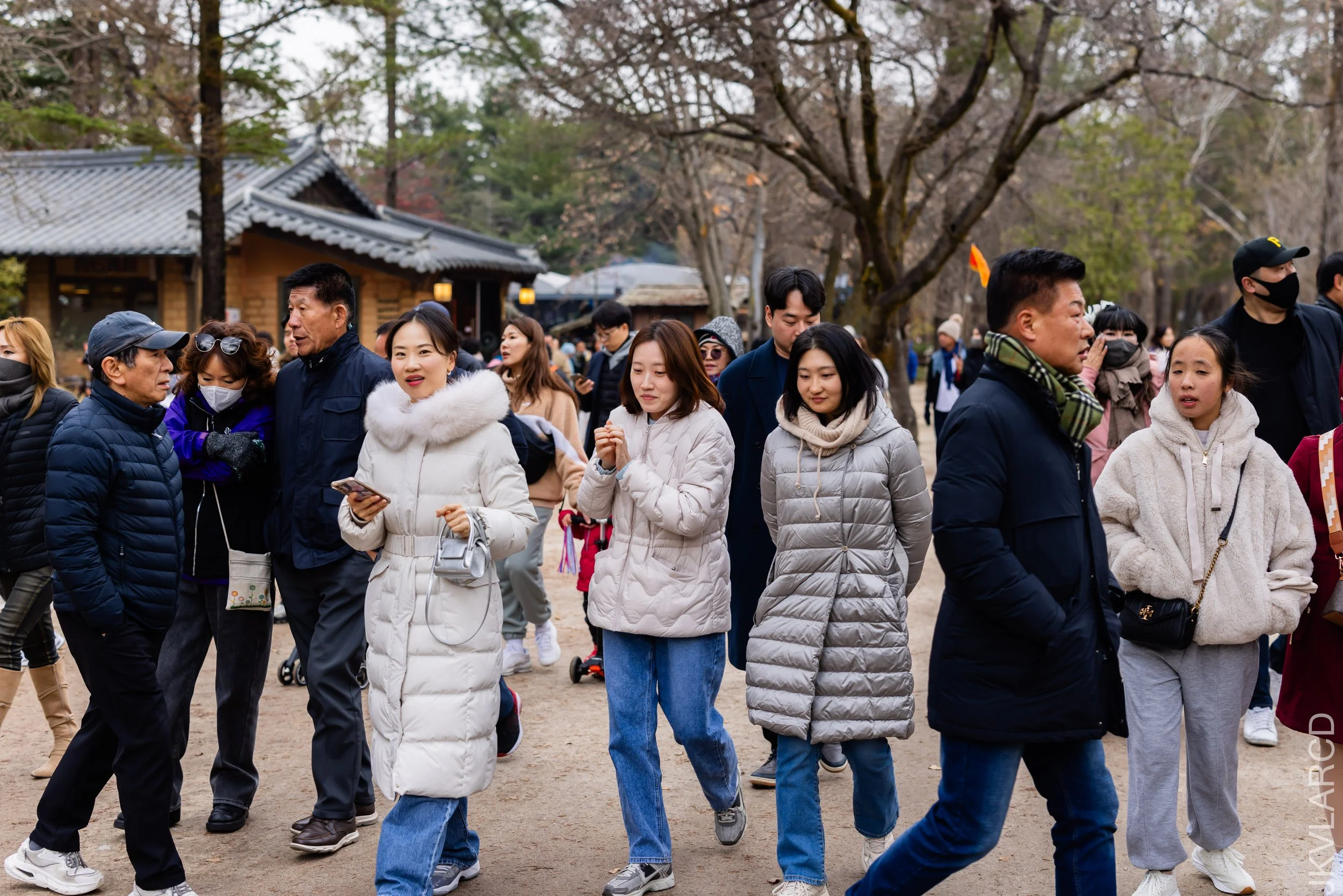 EOS R5_2023_11_17_0147.jpg