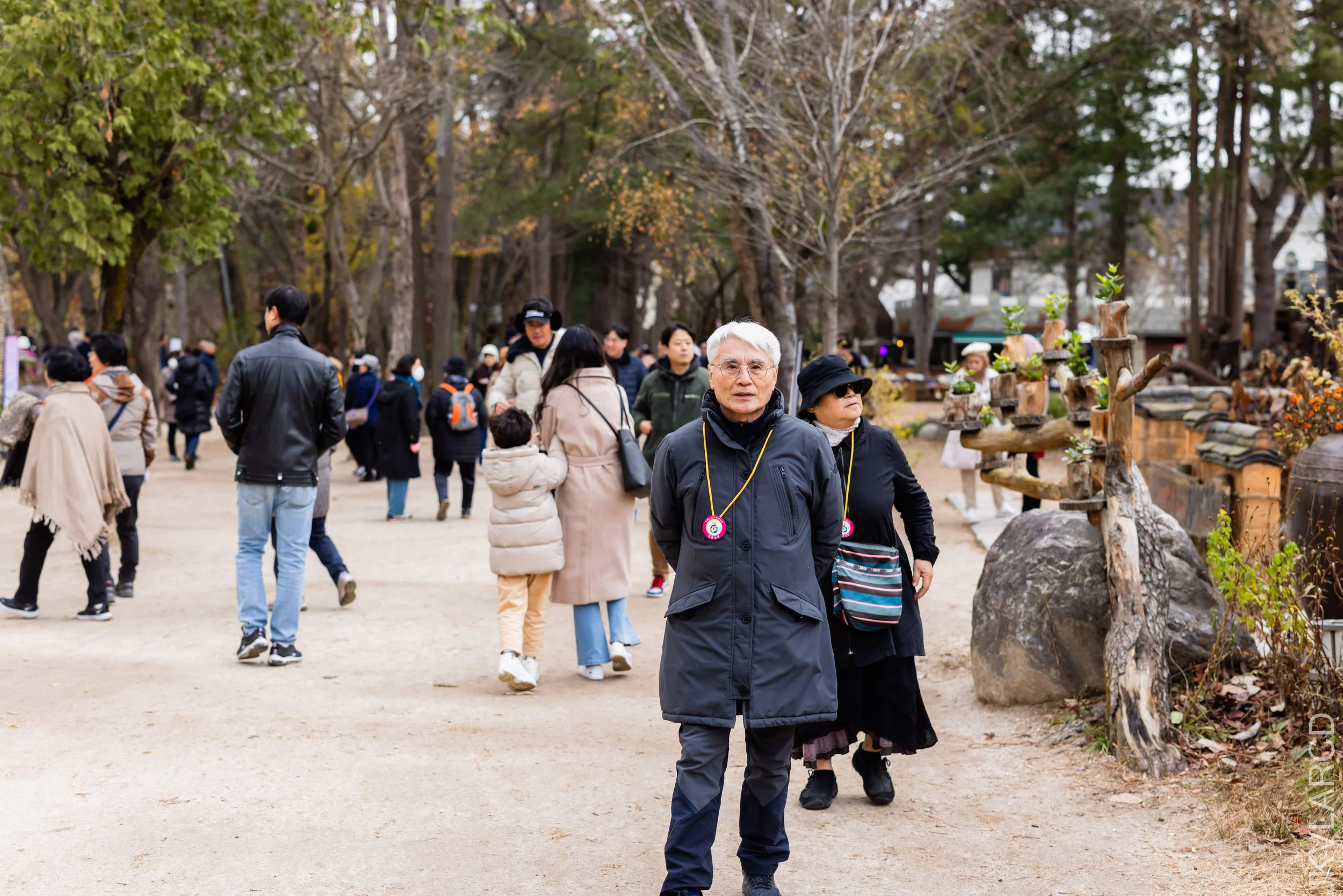 EOS R5_2023_11_17_0152.jpg