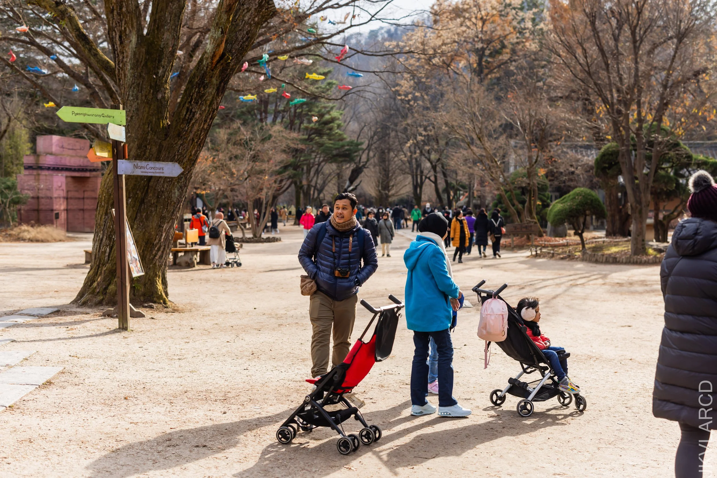 EOS R5_2023_11_17_0159.jpg