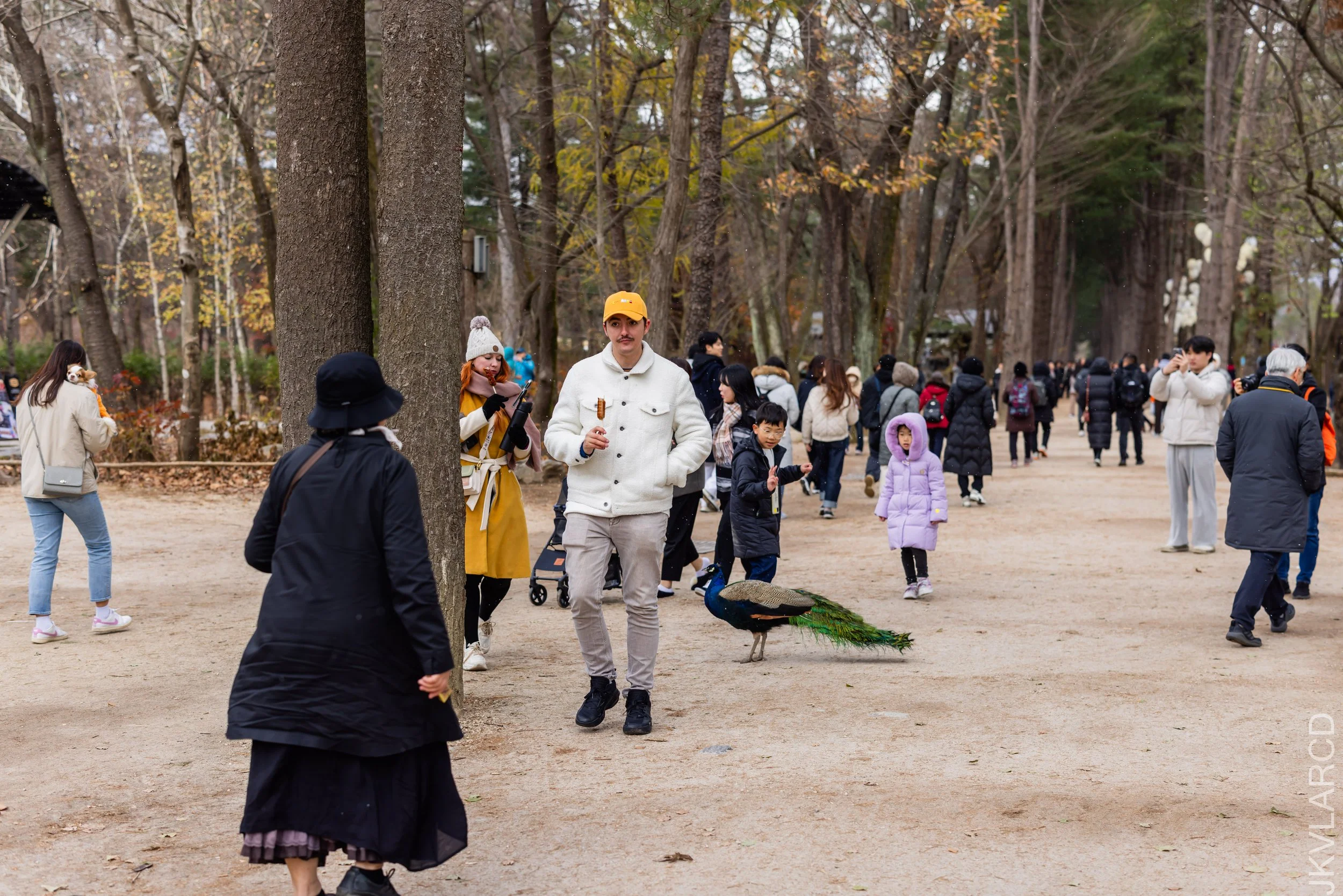 EOS R5_2023_11_17_0168.jpg