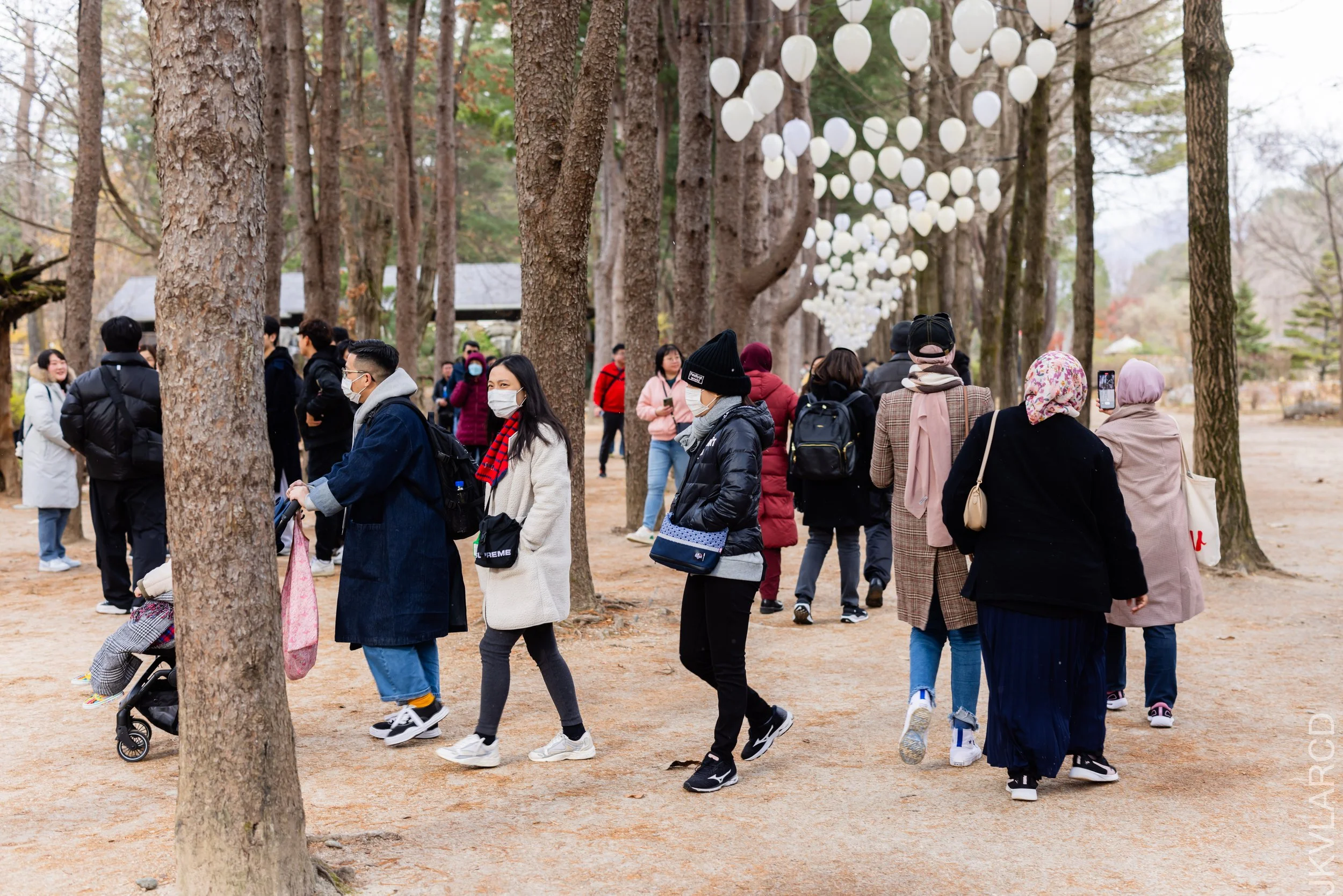 EOS R5_2023_11_17_0174.jpg