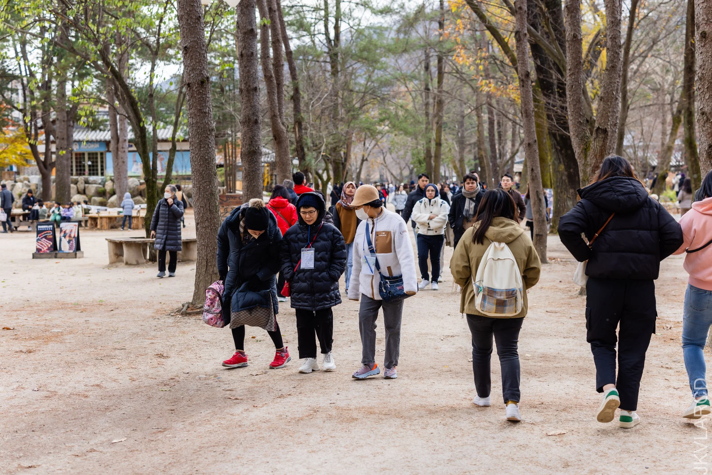 EOS R5_2023_11_17_0176.jpg