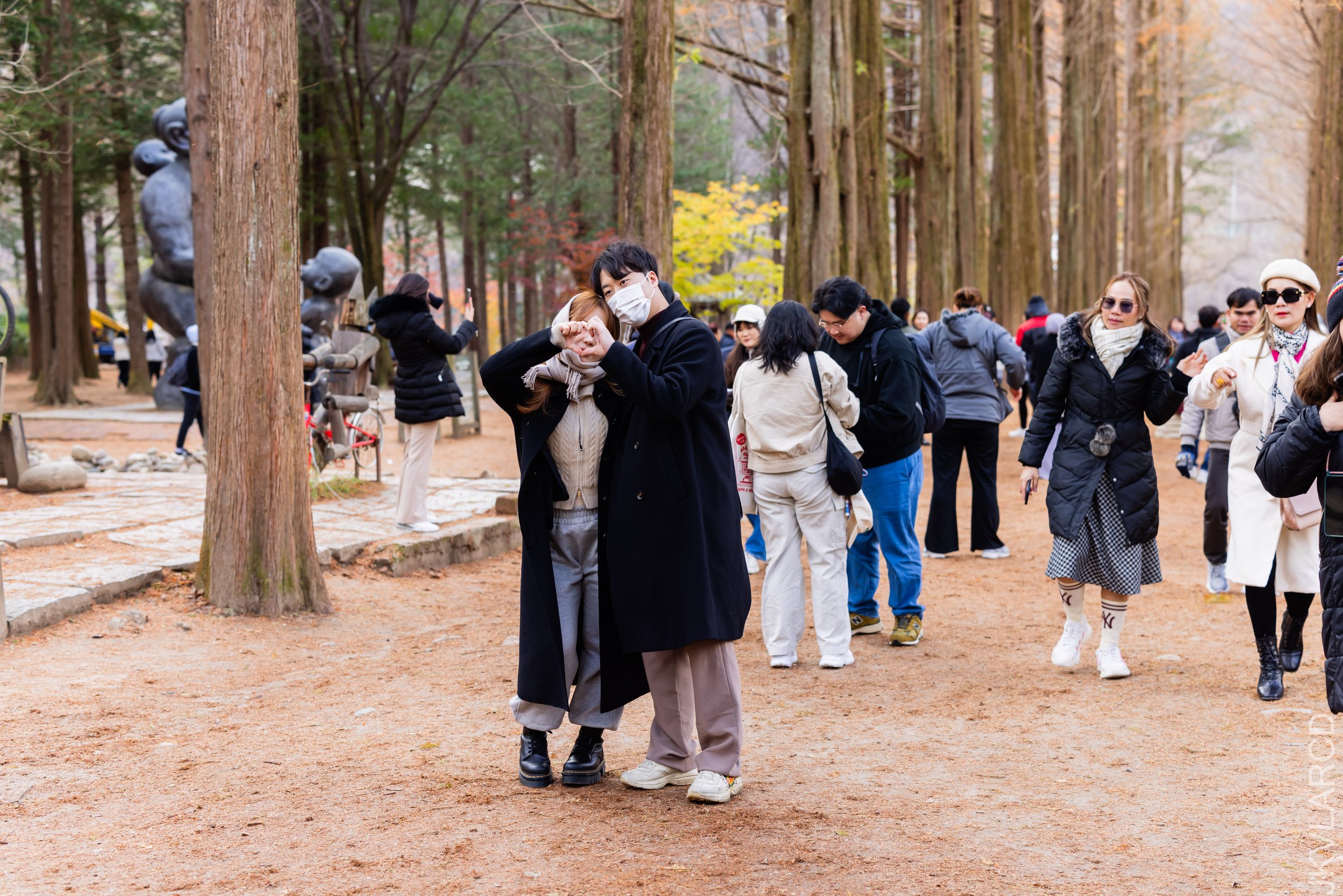 EOS R5_2023_11_17_0191.jpg