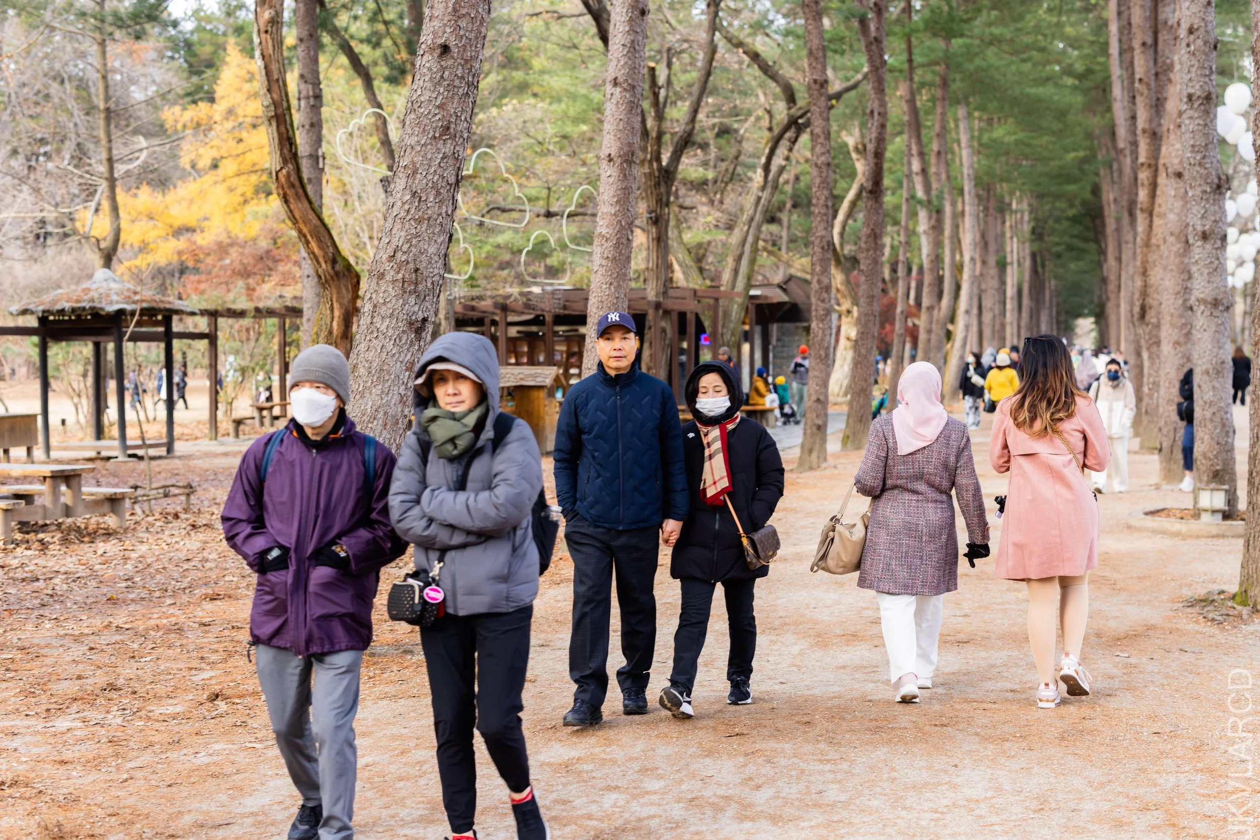 EOS R5_2023_11_17_0212.jpg