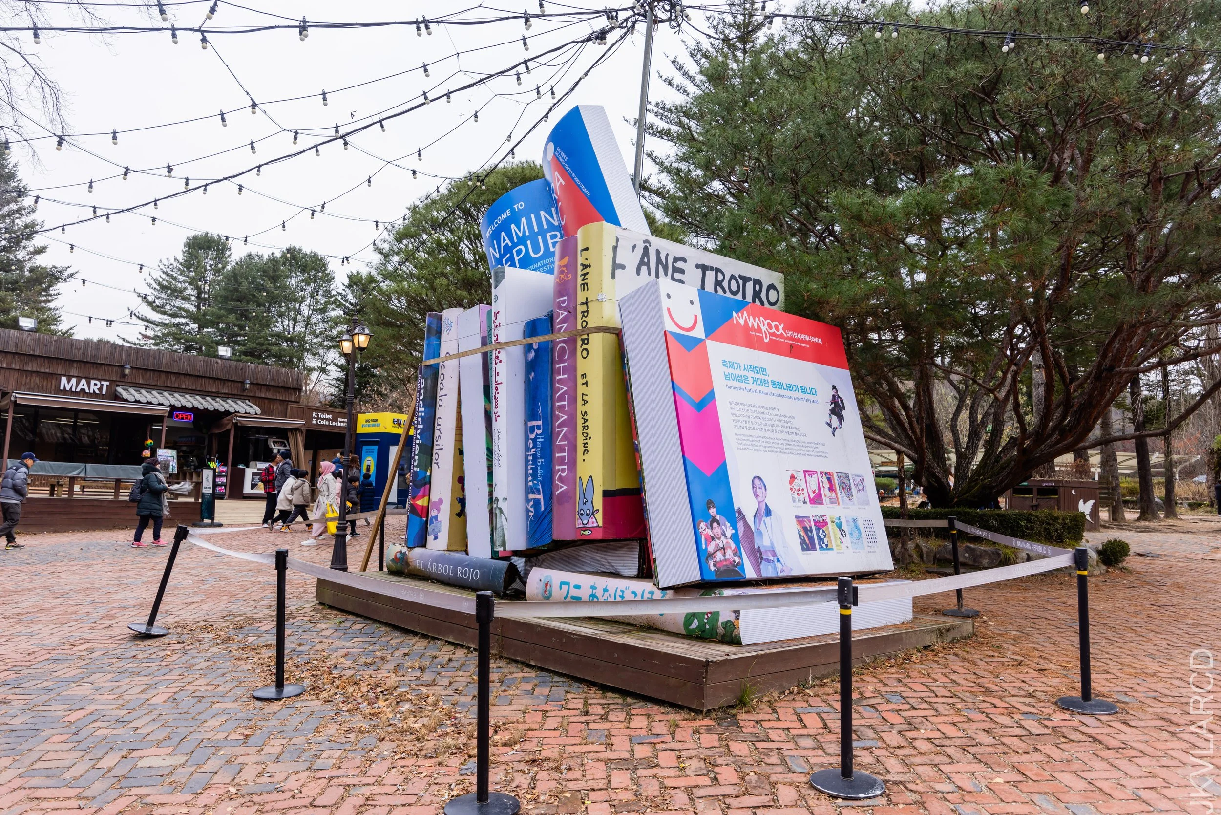 EOS R5_2023_11_17_0014.jpg